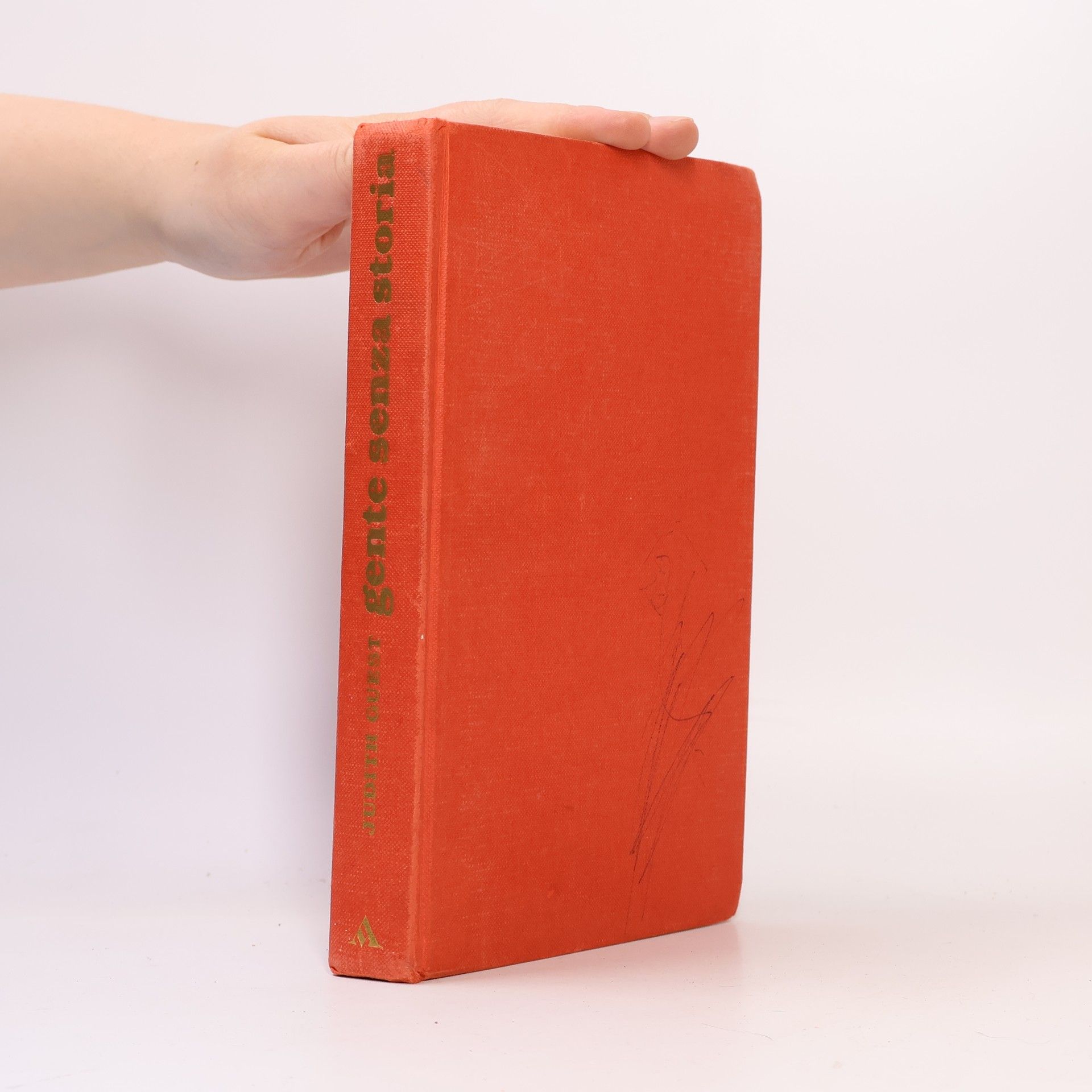 Judith Guest Gente senza storia