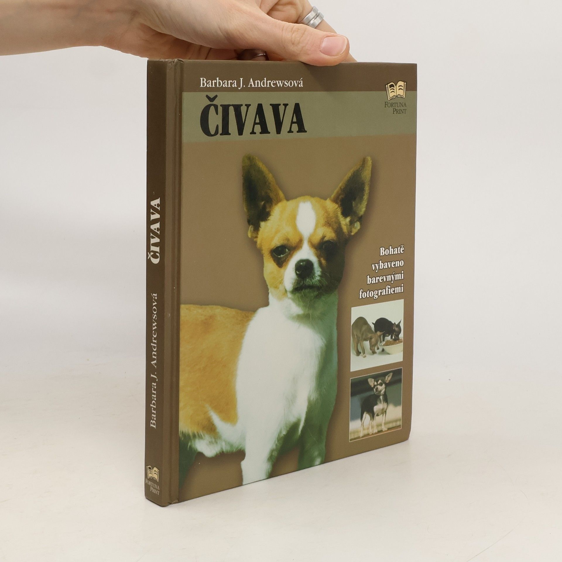 Barbara J. Andrews Čivava