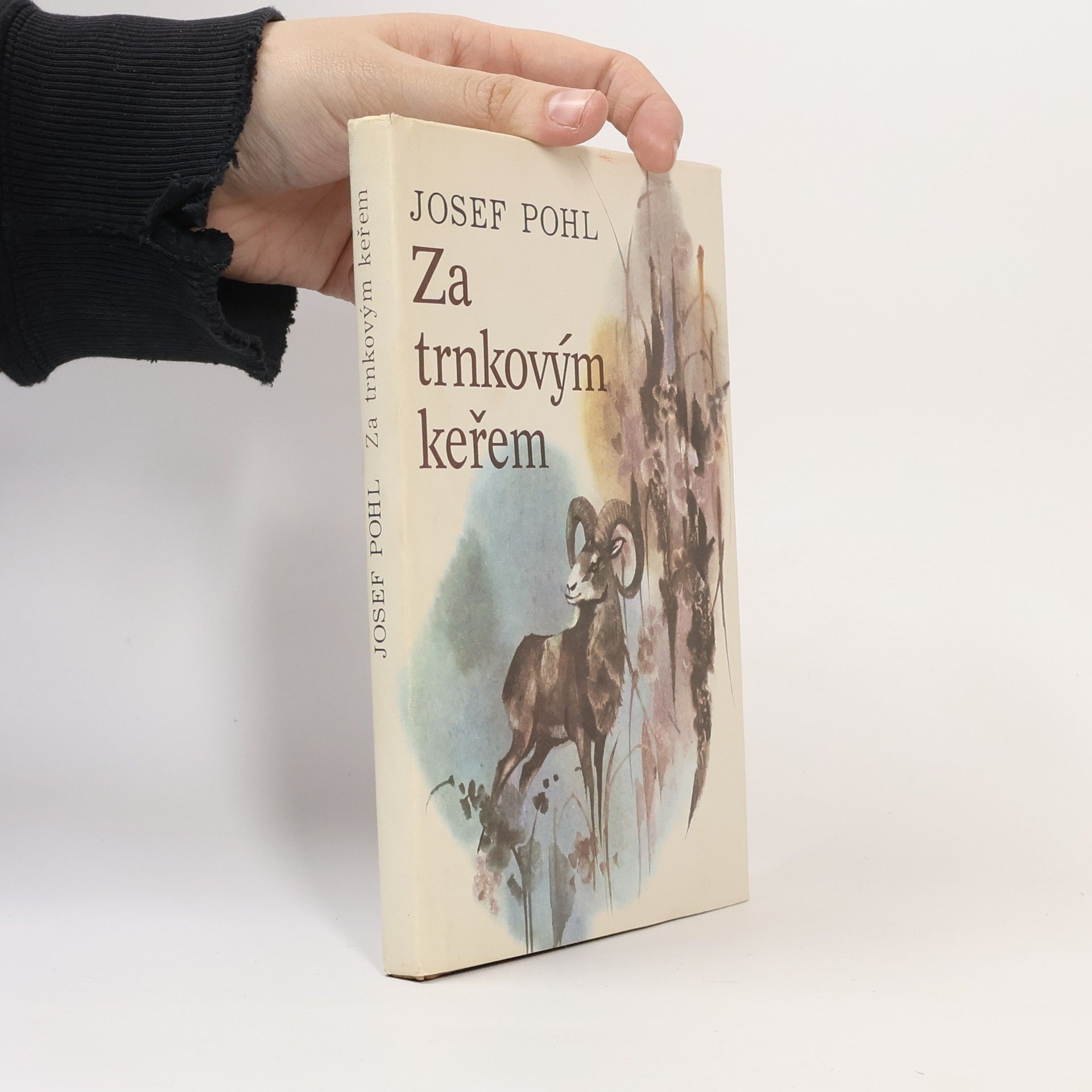 Josef Pohl Za trnkovým keřem