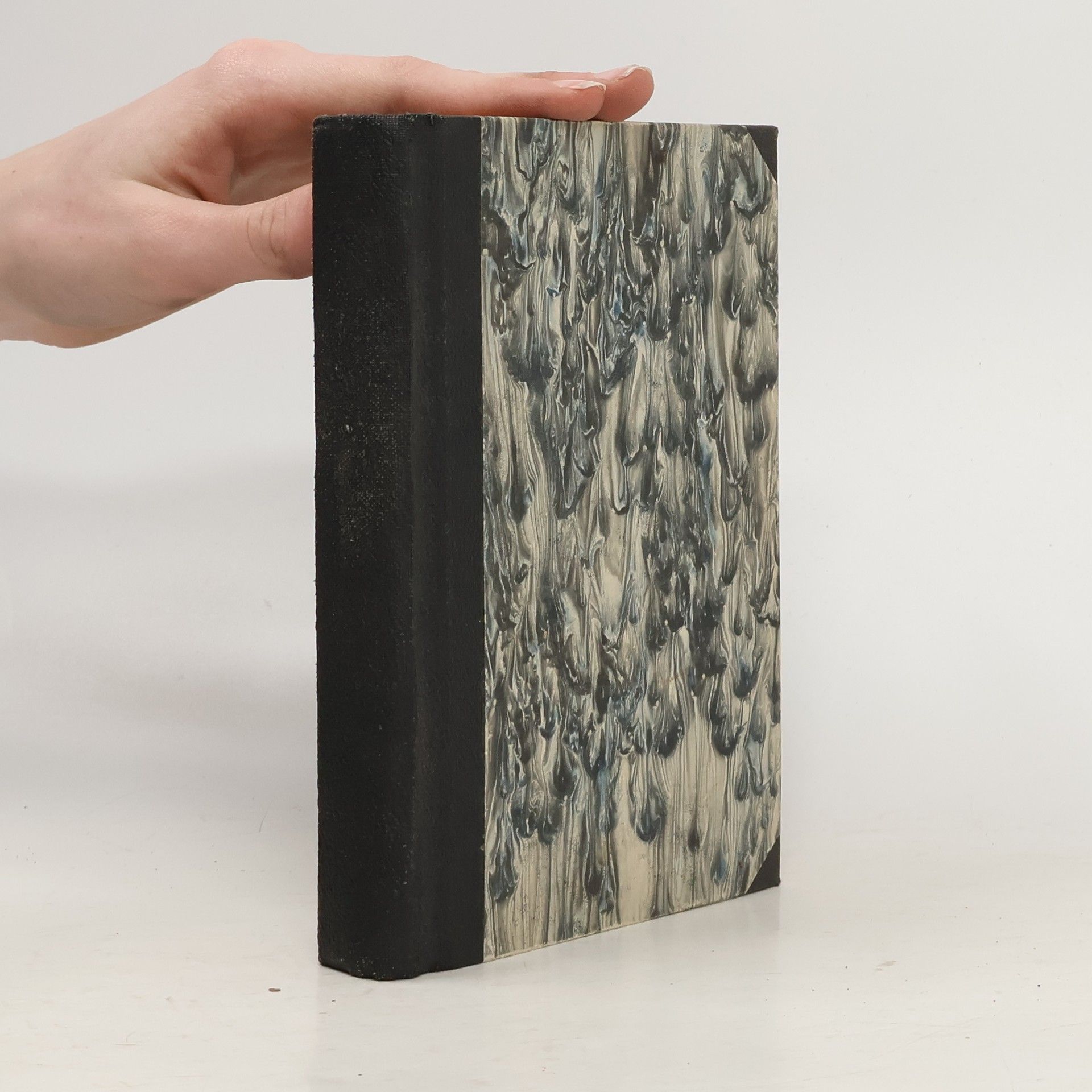 Václav Beneš Třebízský Z různých dob Díl XIII.