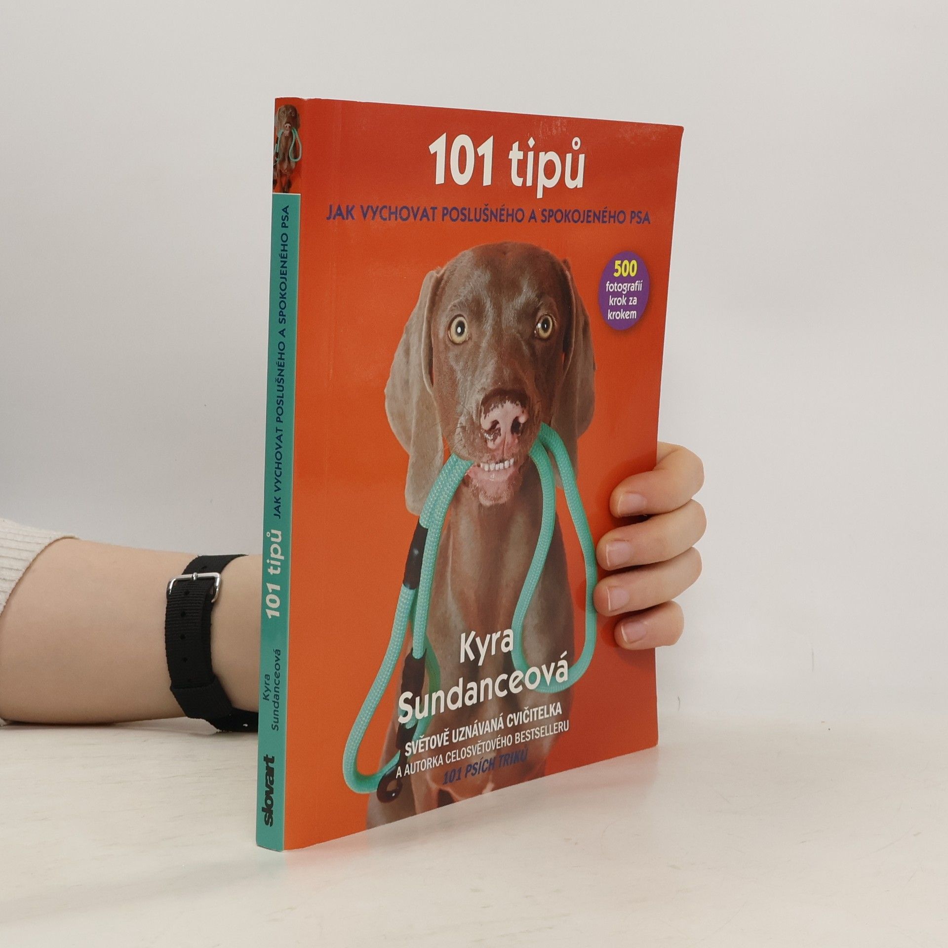 Kyra Sundance 101 tipů jak vychovat poslušného a spokojeného psa