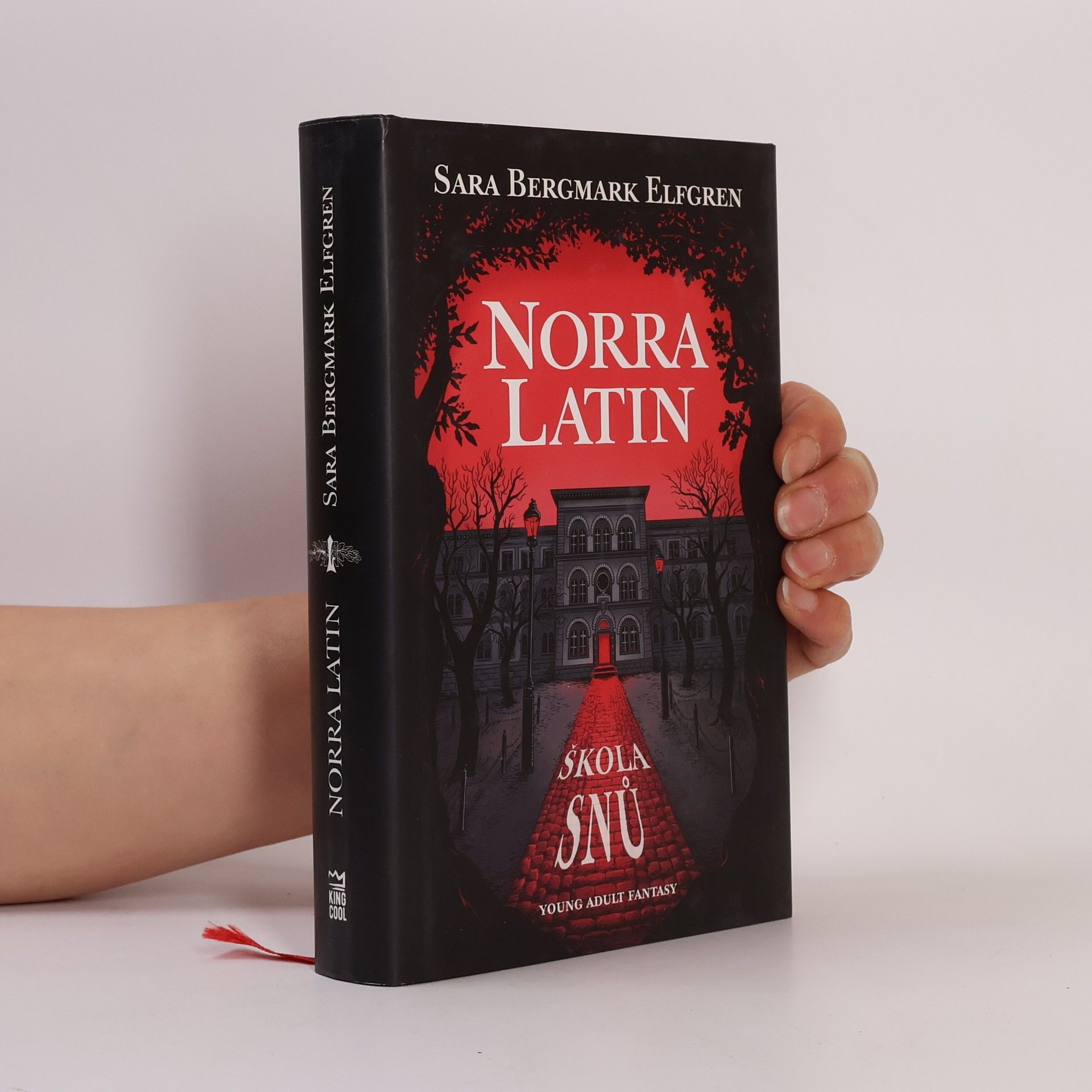 Sara Bergmark Elfgren Norra Latin. Škola snů