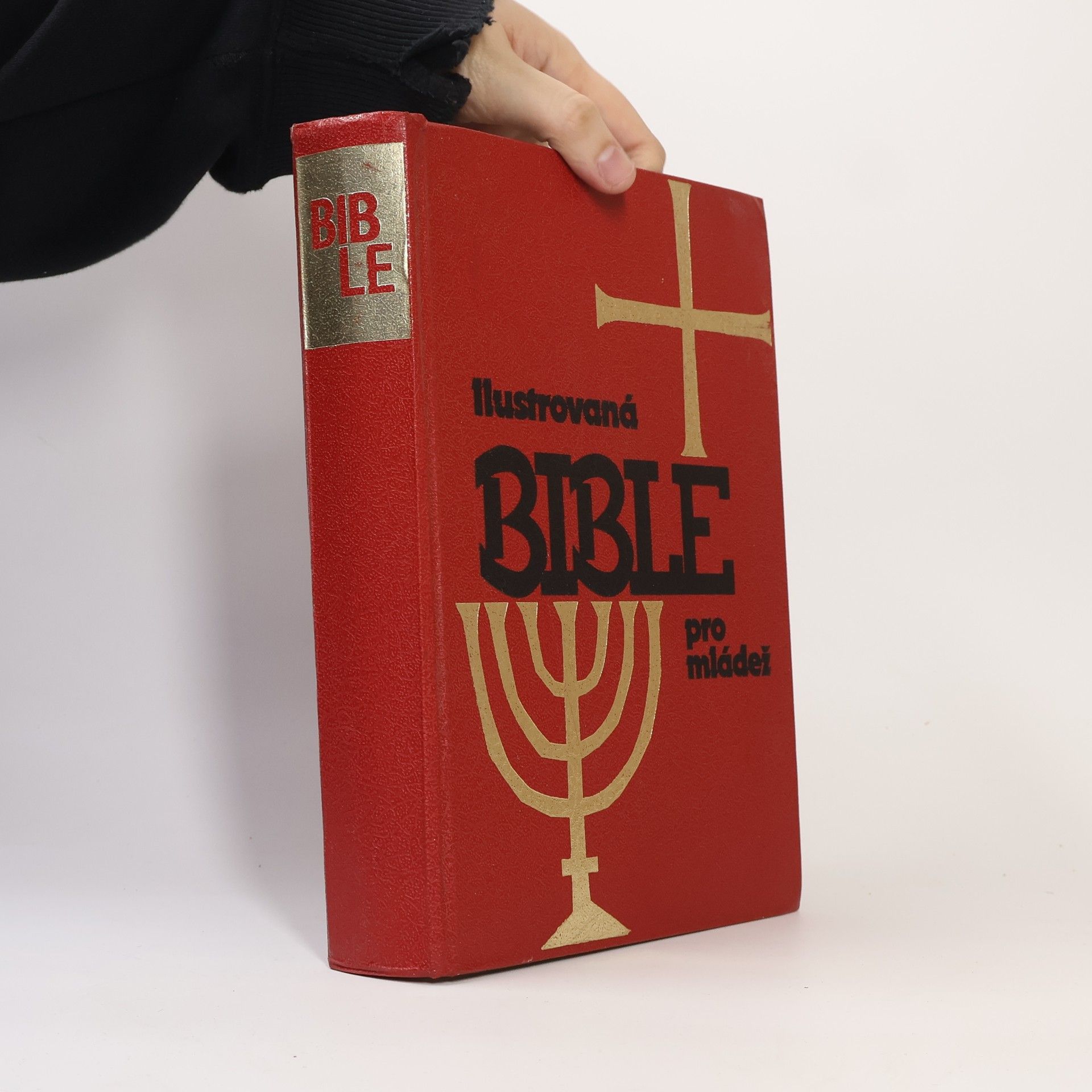 Autorenkollektiv Ilustrovaná Bible pro mládež