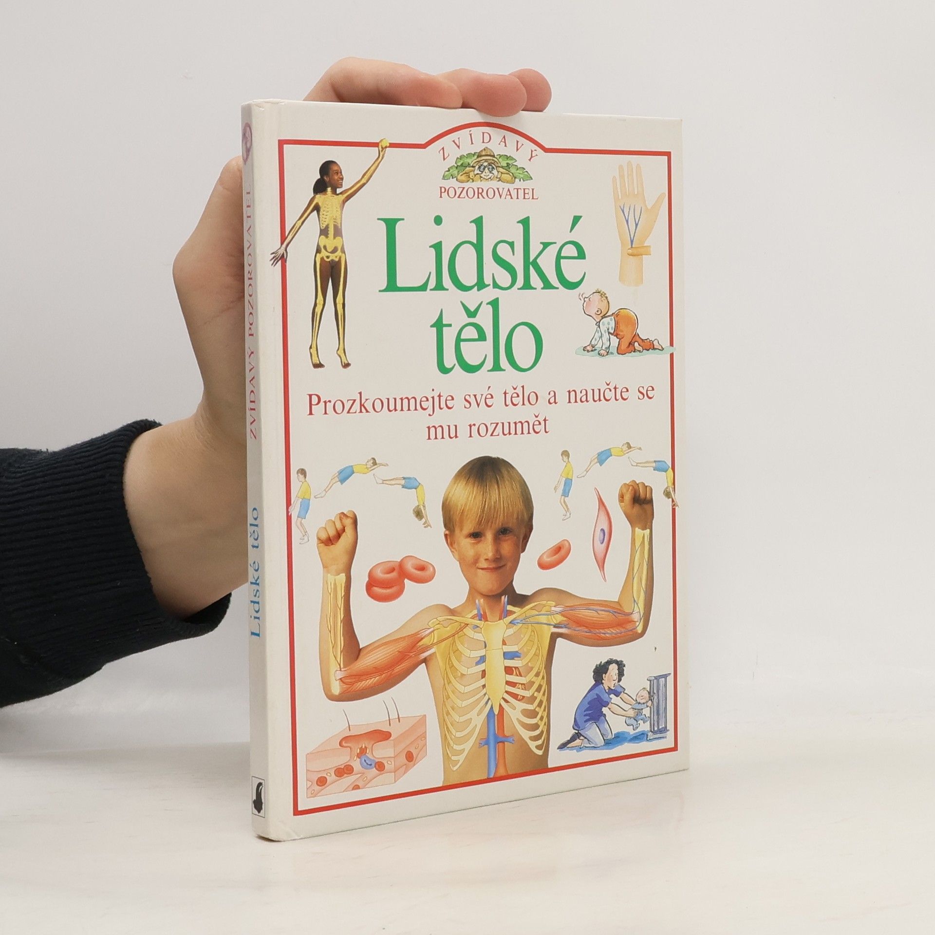 Steve Parker Zvídavý pozorovatel: Lidské tělo