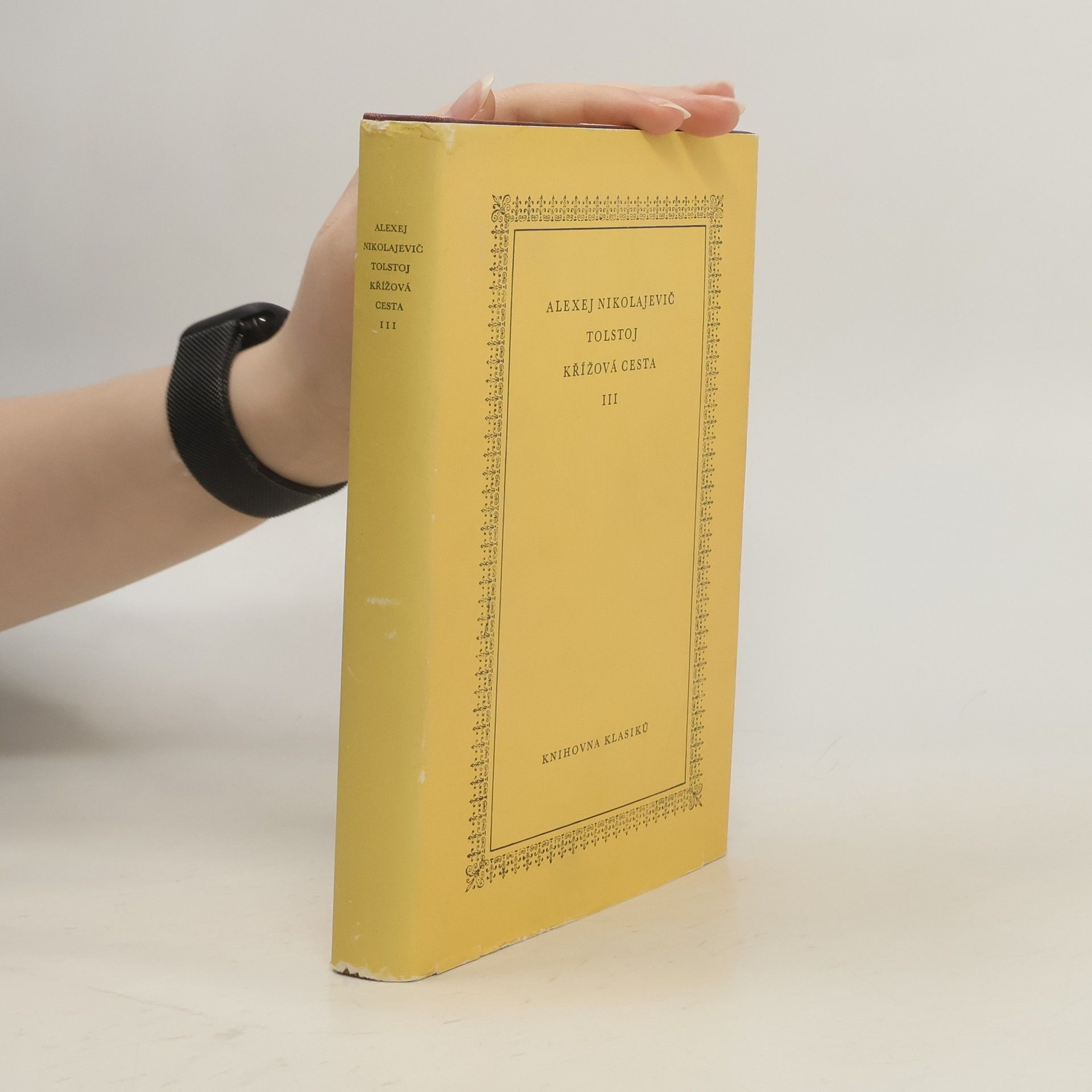 Alexej Nikolajevič Tolstoj Krížová cesta. III. Ponuré ráno