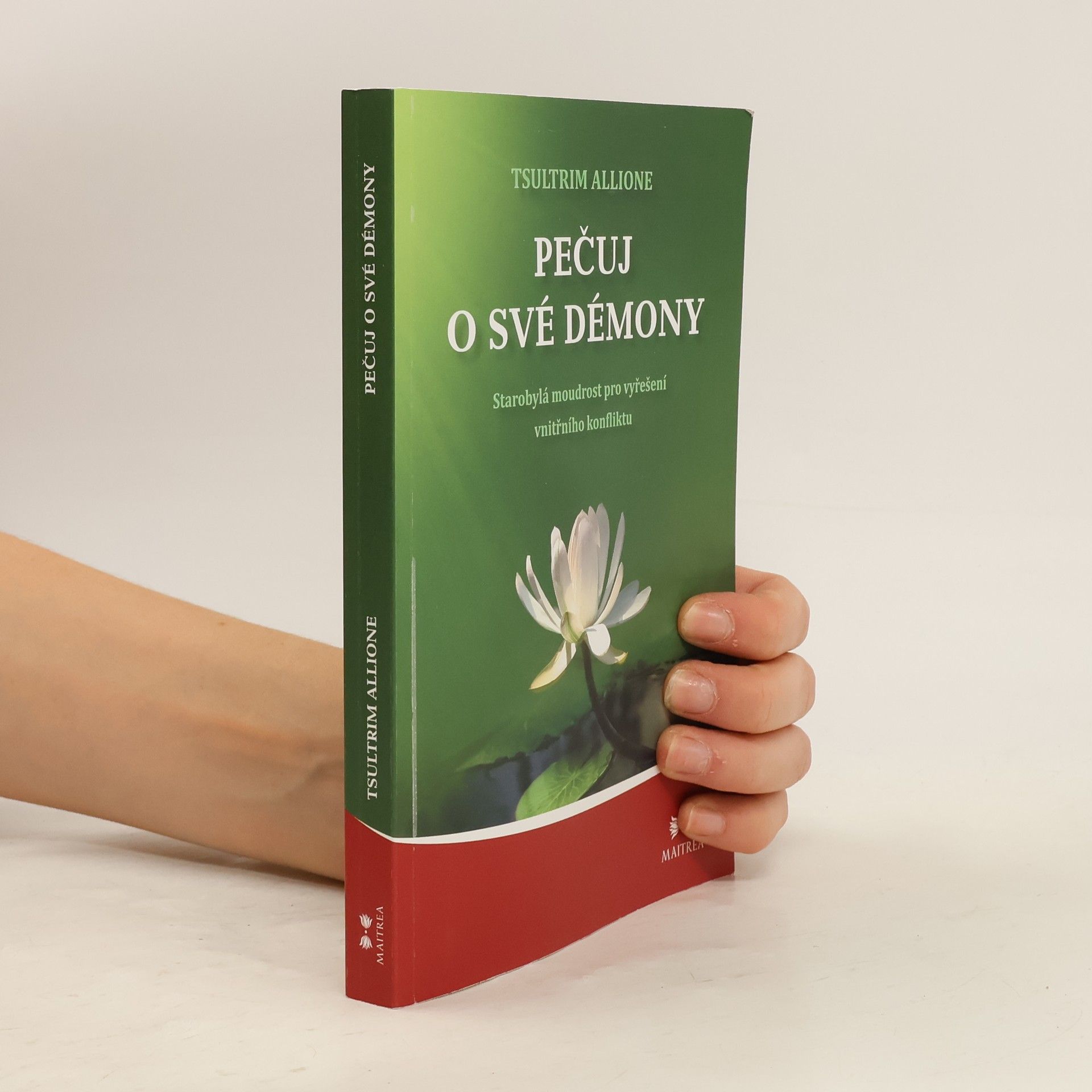 Tsultrim Allione Pečuj o své démony. Starobylá moudrost pro vyřešení vnitřního konfliktu