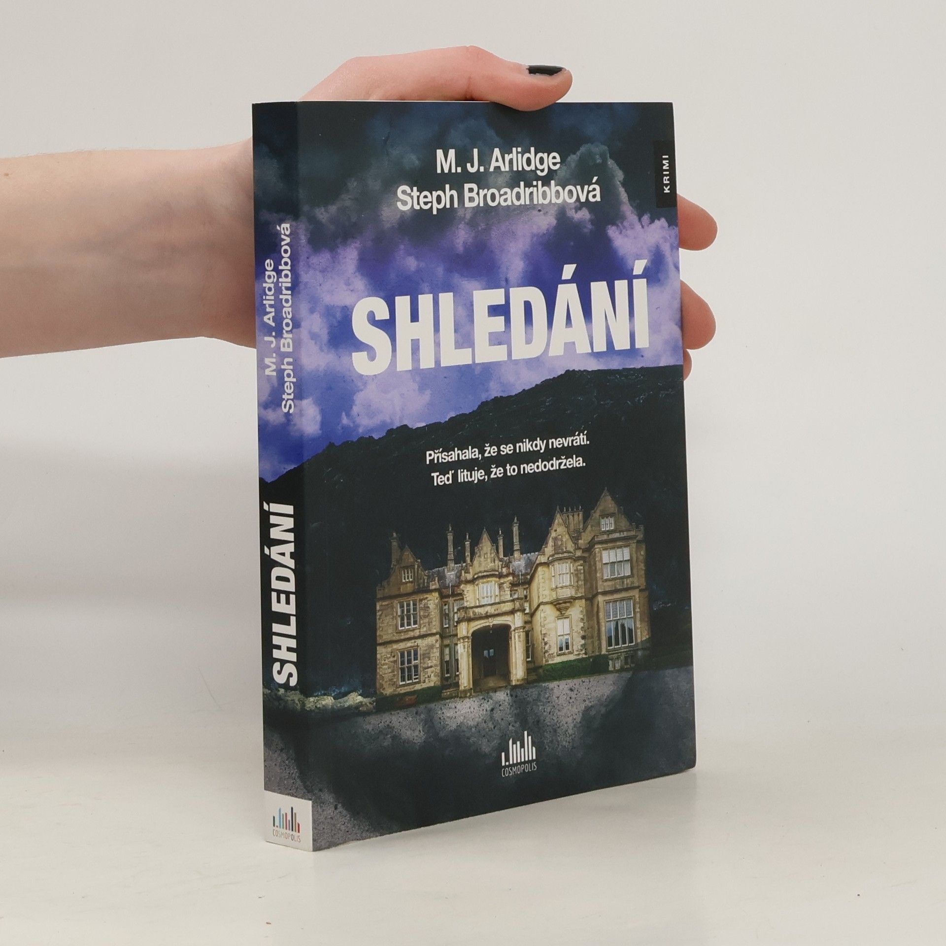 M. J. Arlidge Shledání