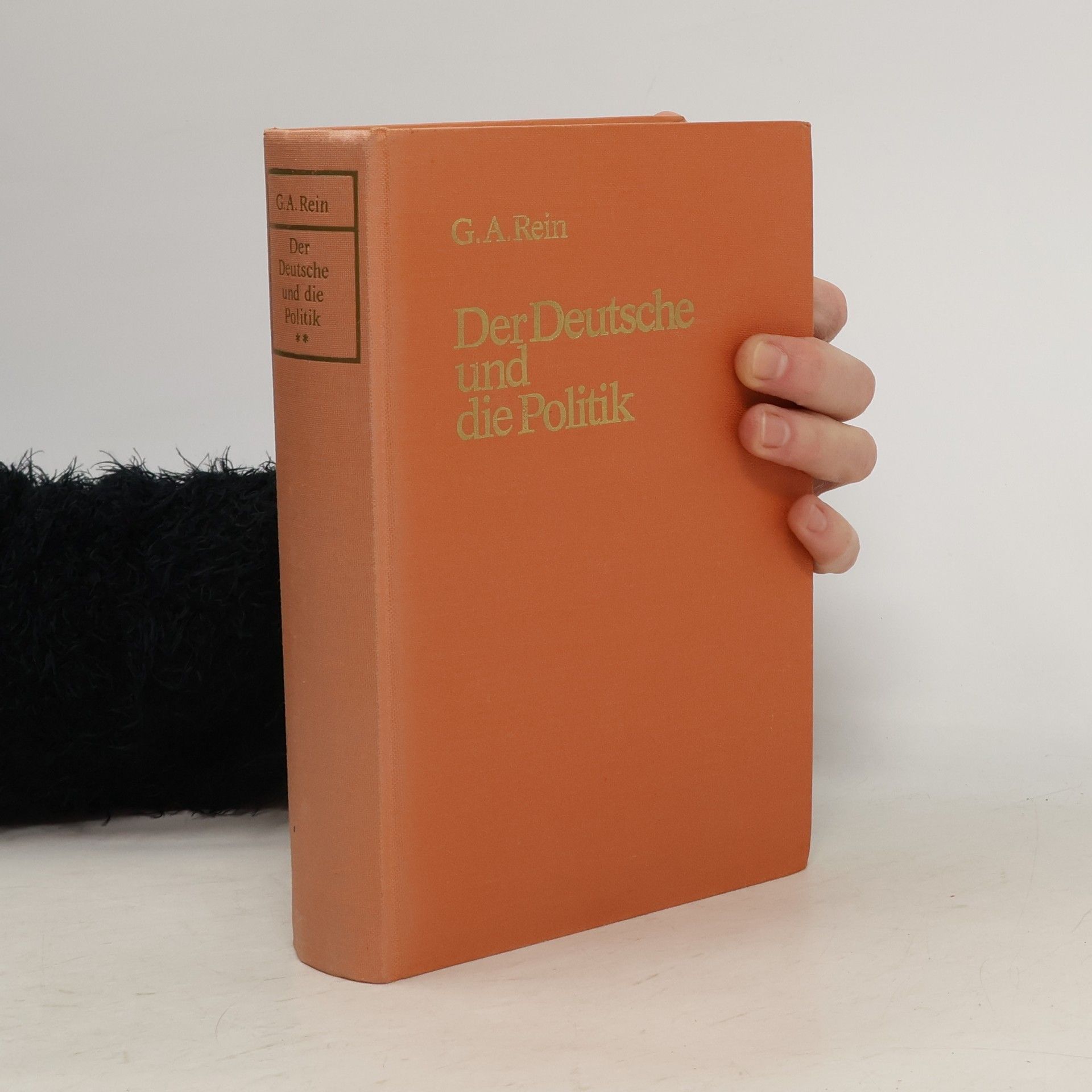 Gustav Adolf Rein Der Deutsche und die Politik.