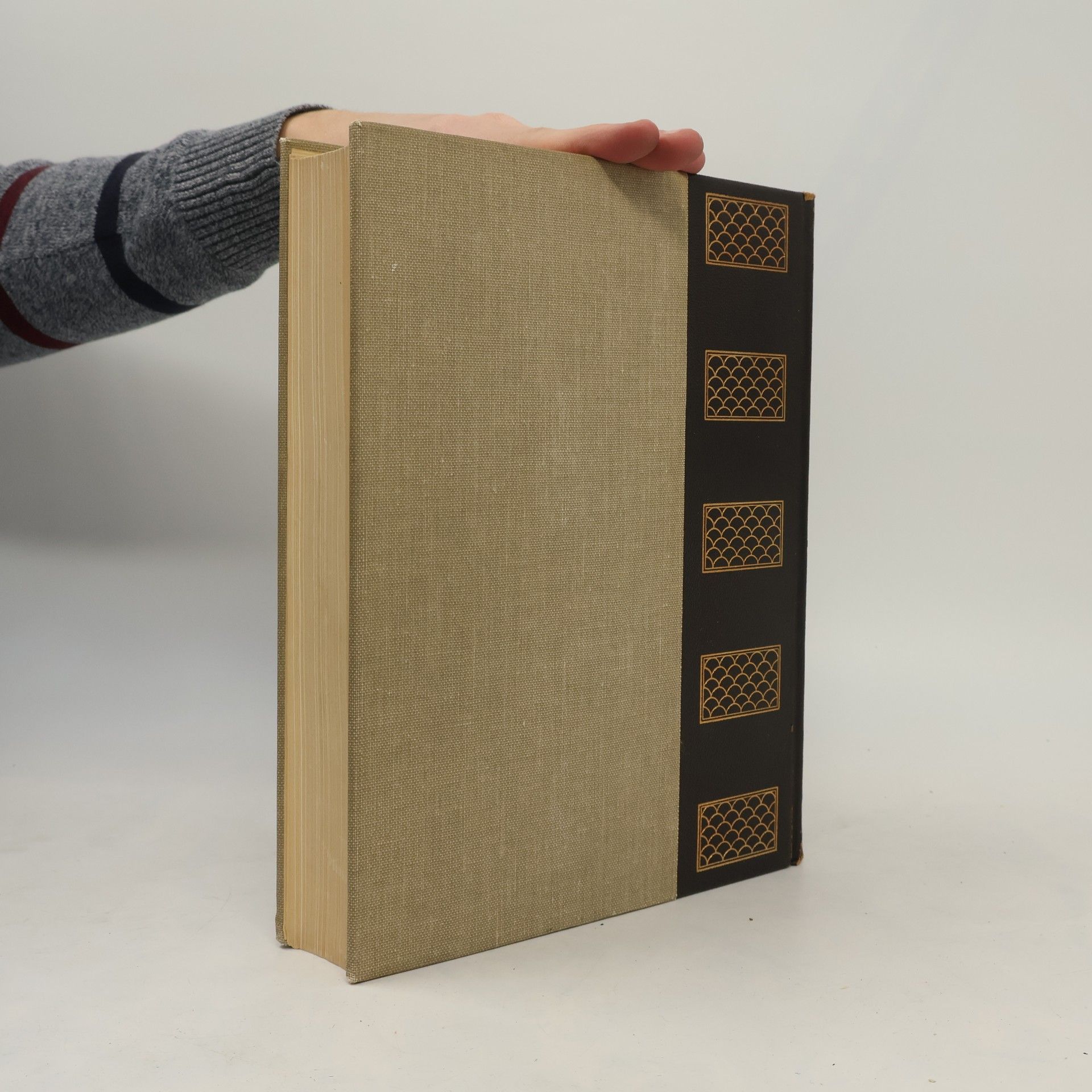 kolektiv Enciclopedia Universale XI.