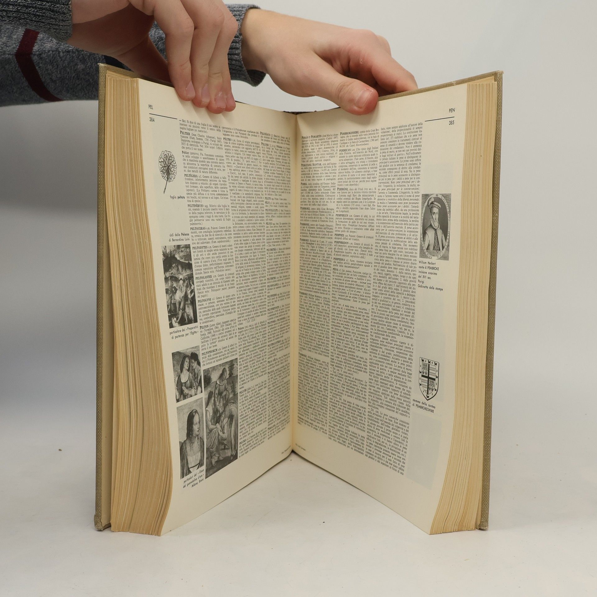 kolektiv Enciclopedia Universale XI.