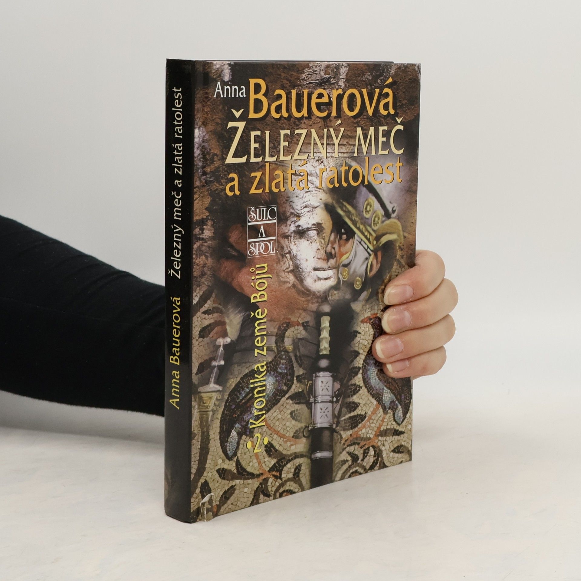Anna Bauer Železný meč a zlatá ratolest: Kronika země Bójů, 2