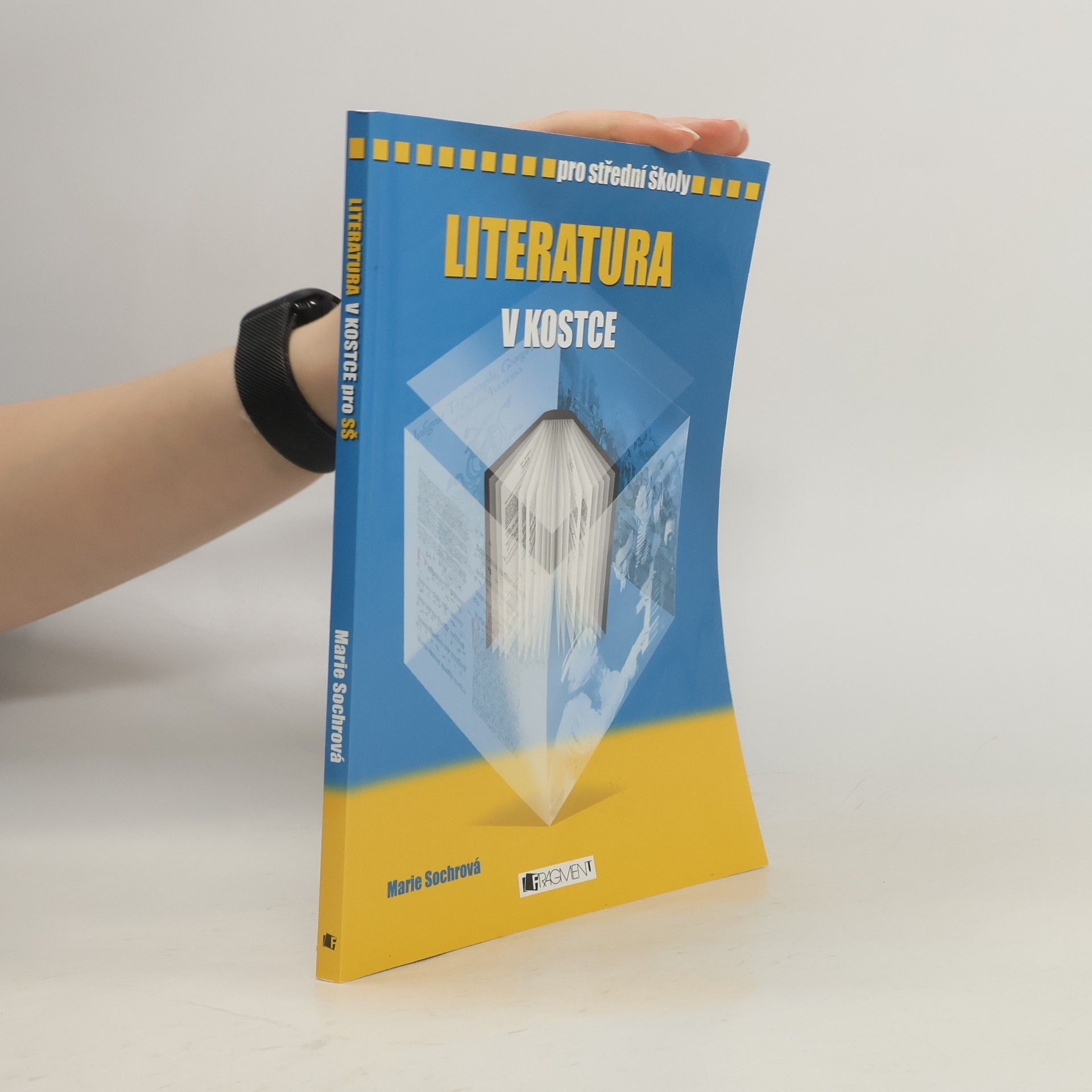 Marie Sochrová Literatura v kostce : pro střední školy