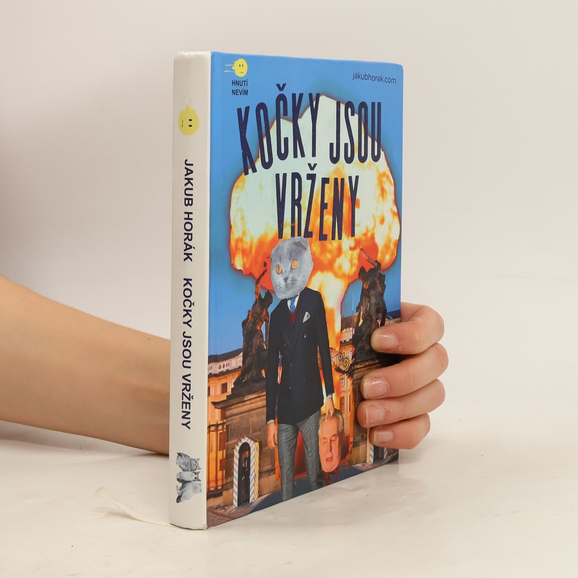 Jakub Horák Kočky jsou vrženy: Fantastický román