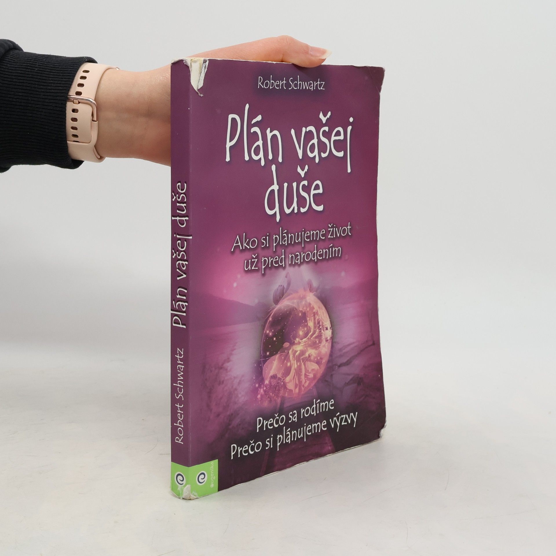 Robert Schwartz Plán vašej duše