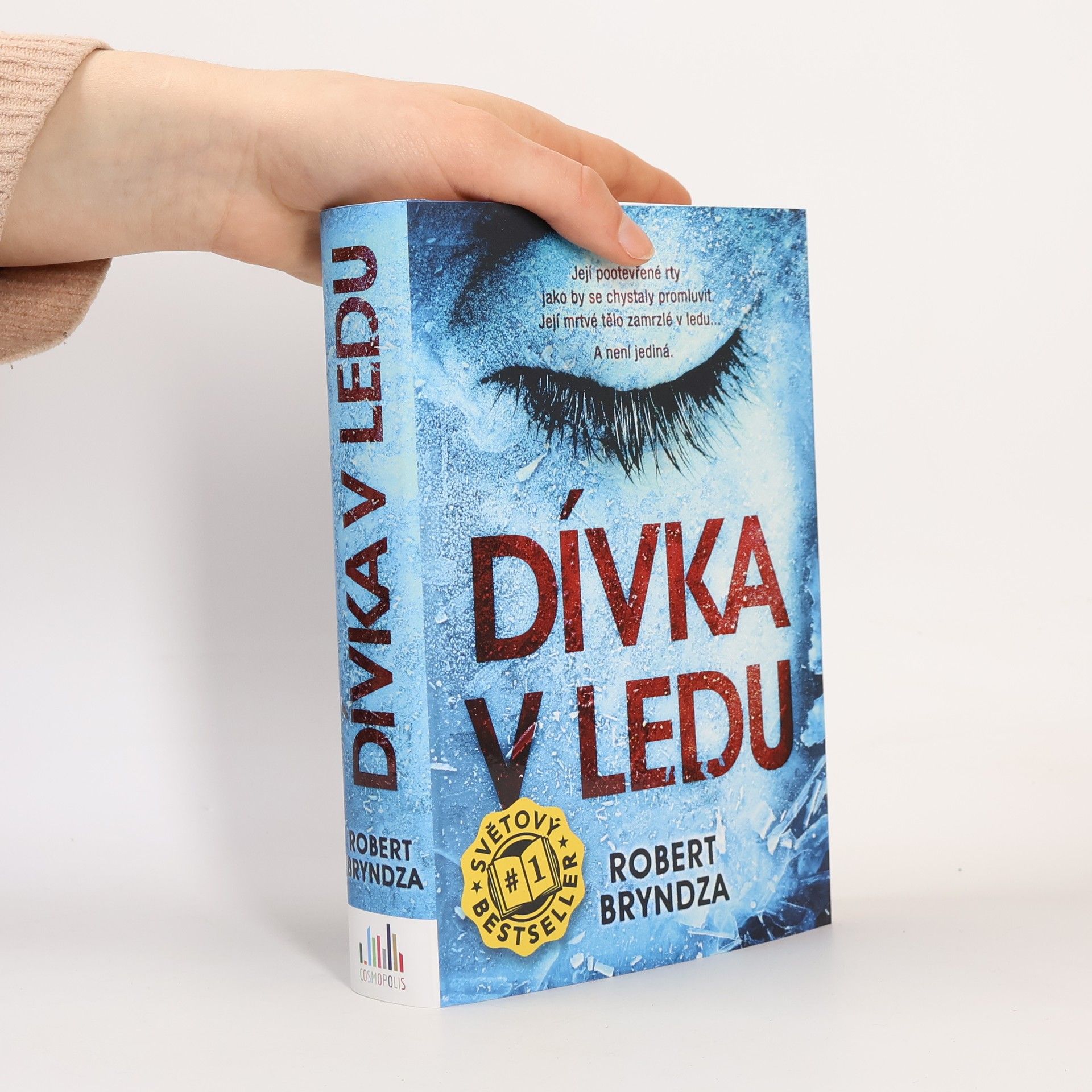 Robert Bryndza Dívka v ledu