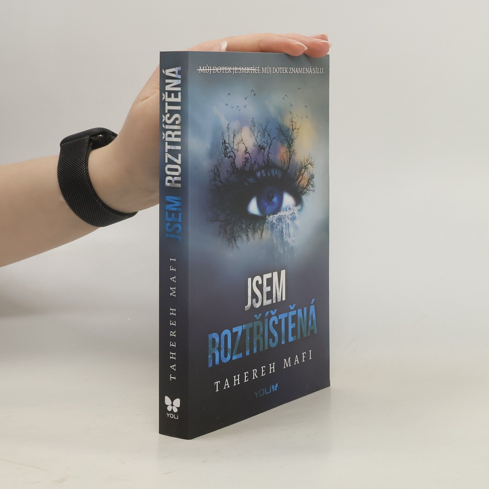 Jsem roztříštěná