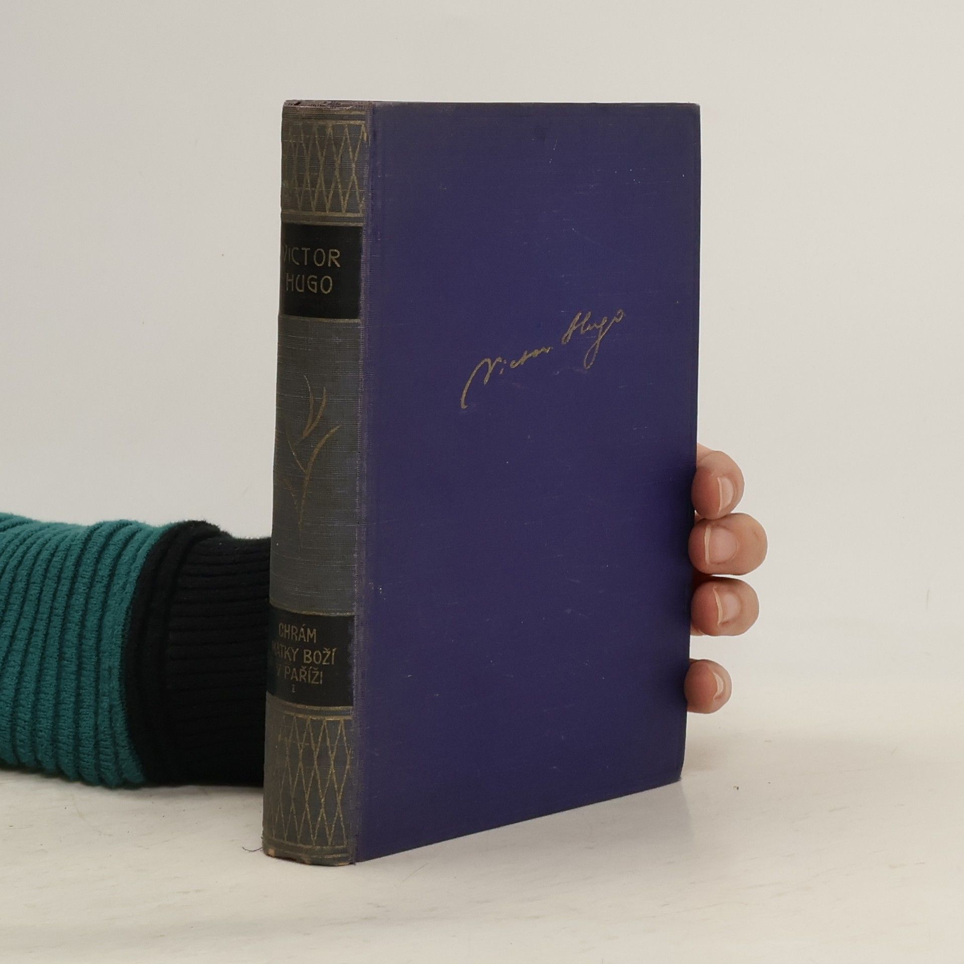 Victor Hugo Chrám Matky Boží v Paříži I.