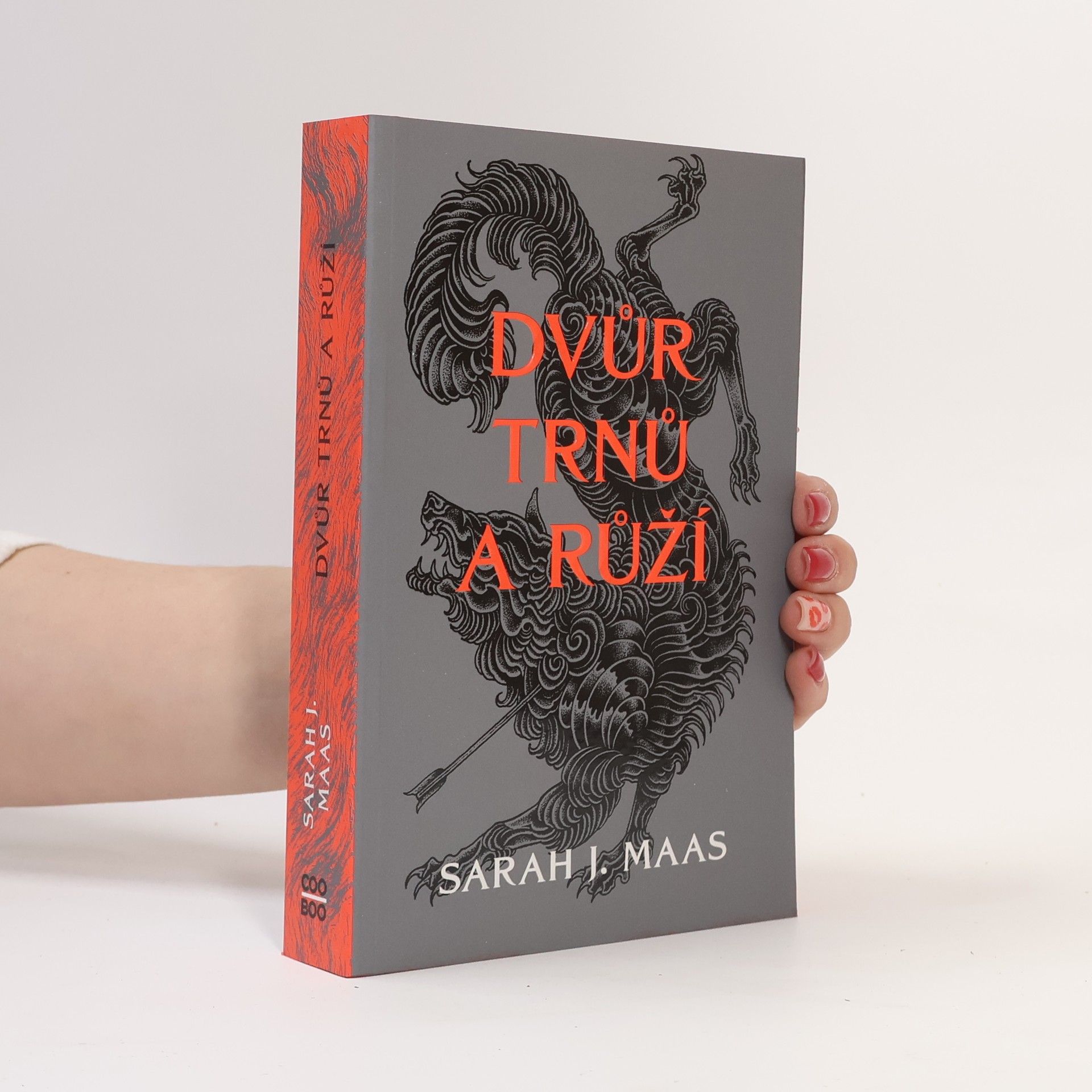Sarah J. Maas Dvůr trnů a růží