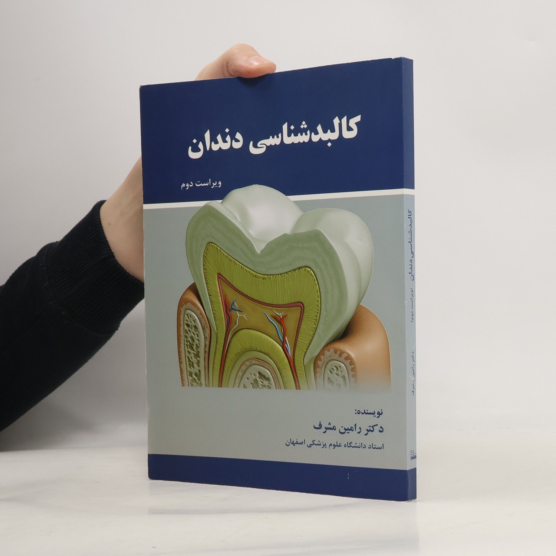 Autores varios کالبدشناسی دندان