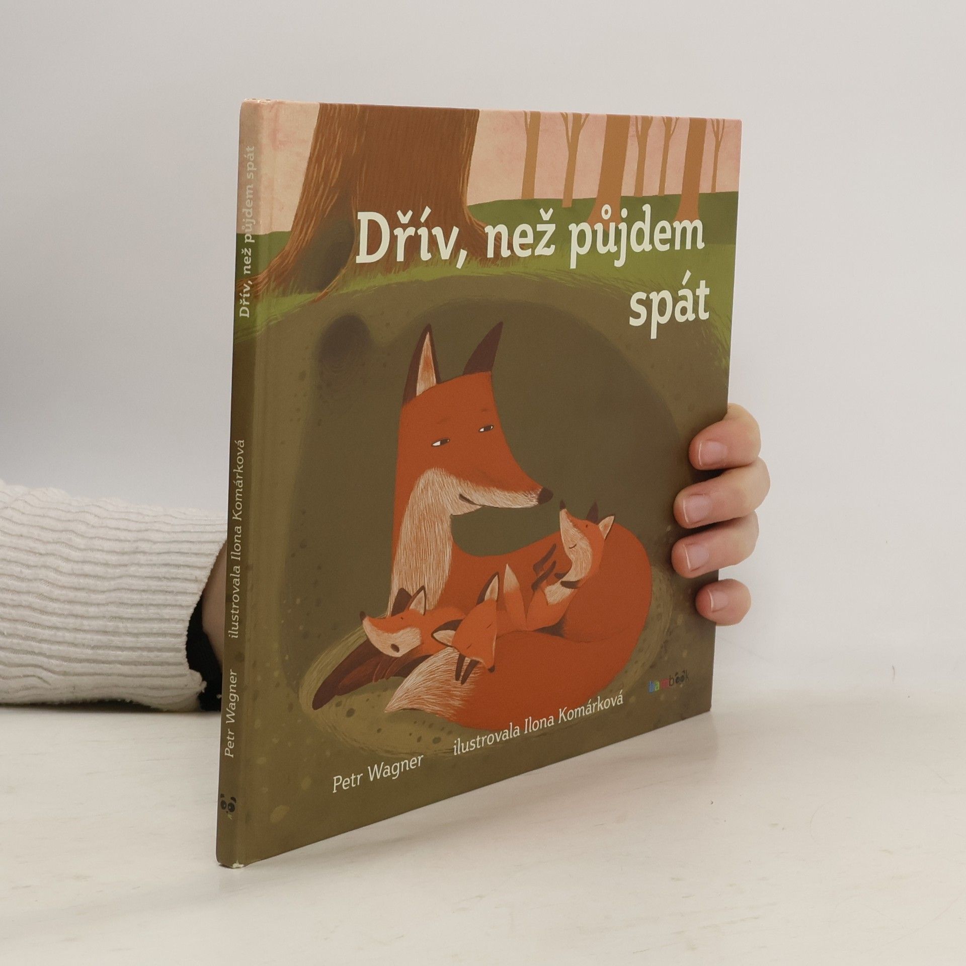 Petr Wagner Dřív než půjdem spát