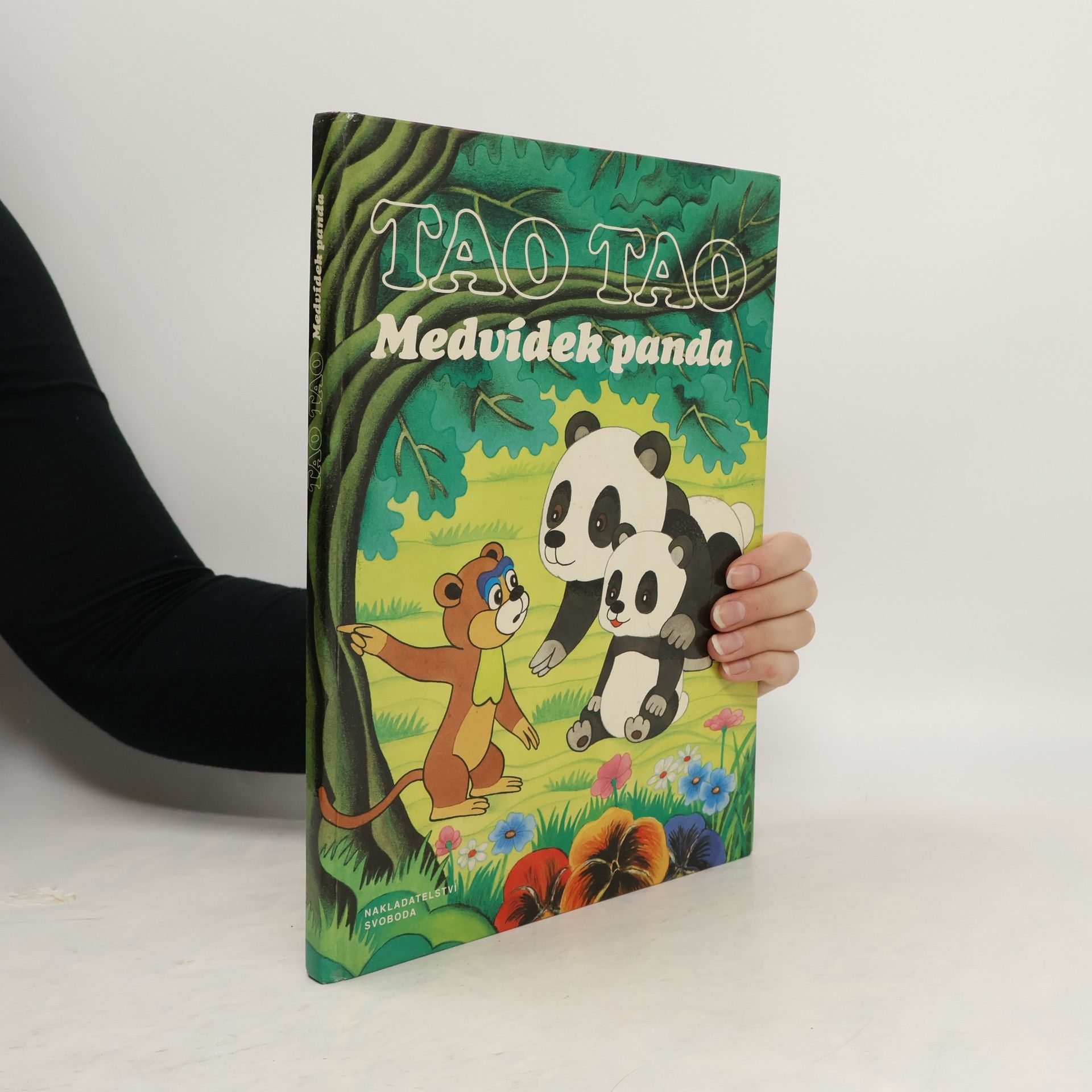 Kolektiv autorů Tao Tao. Medvídek panda