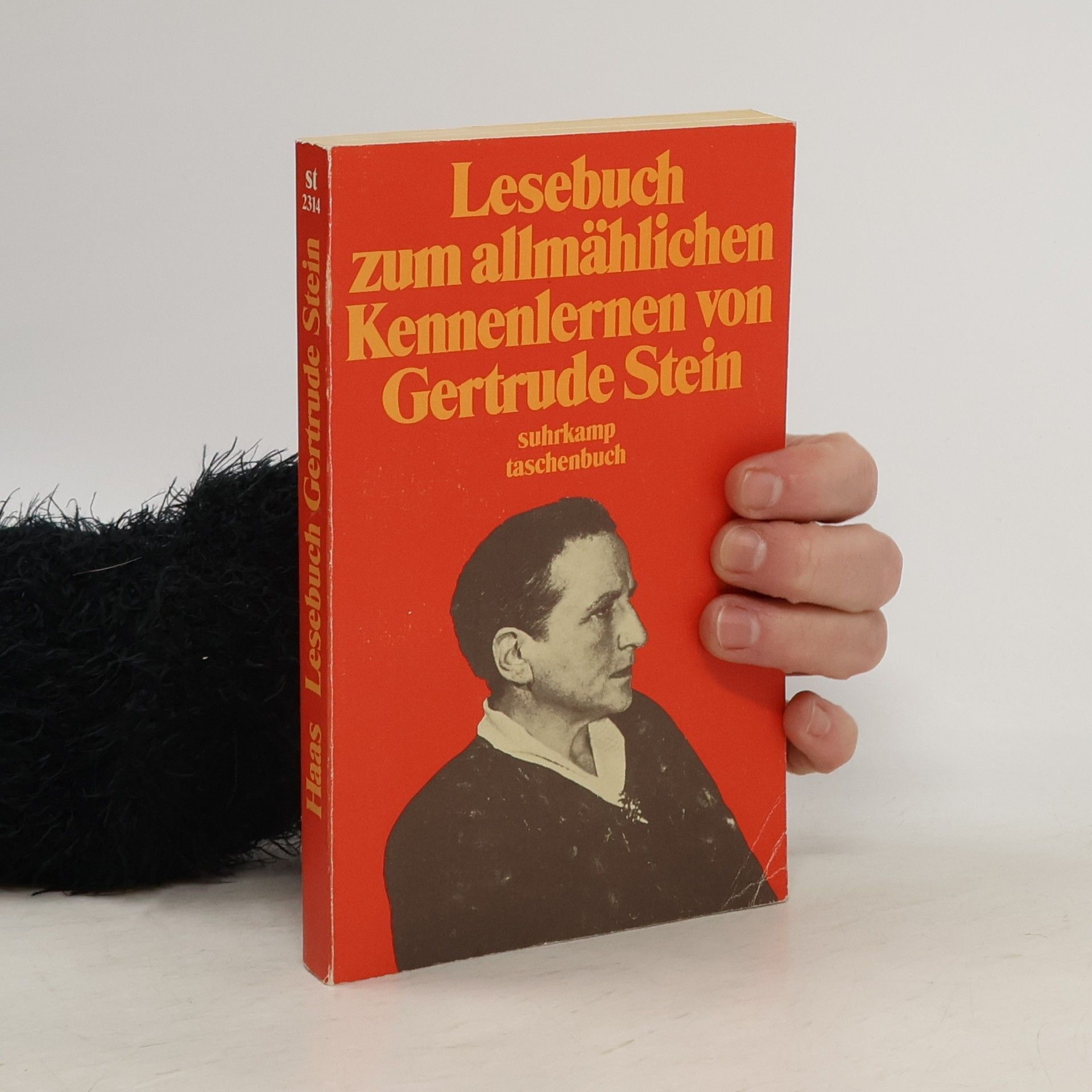 Lesebuch zum allmählichen Kennenlernen von Gertrude Stein