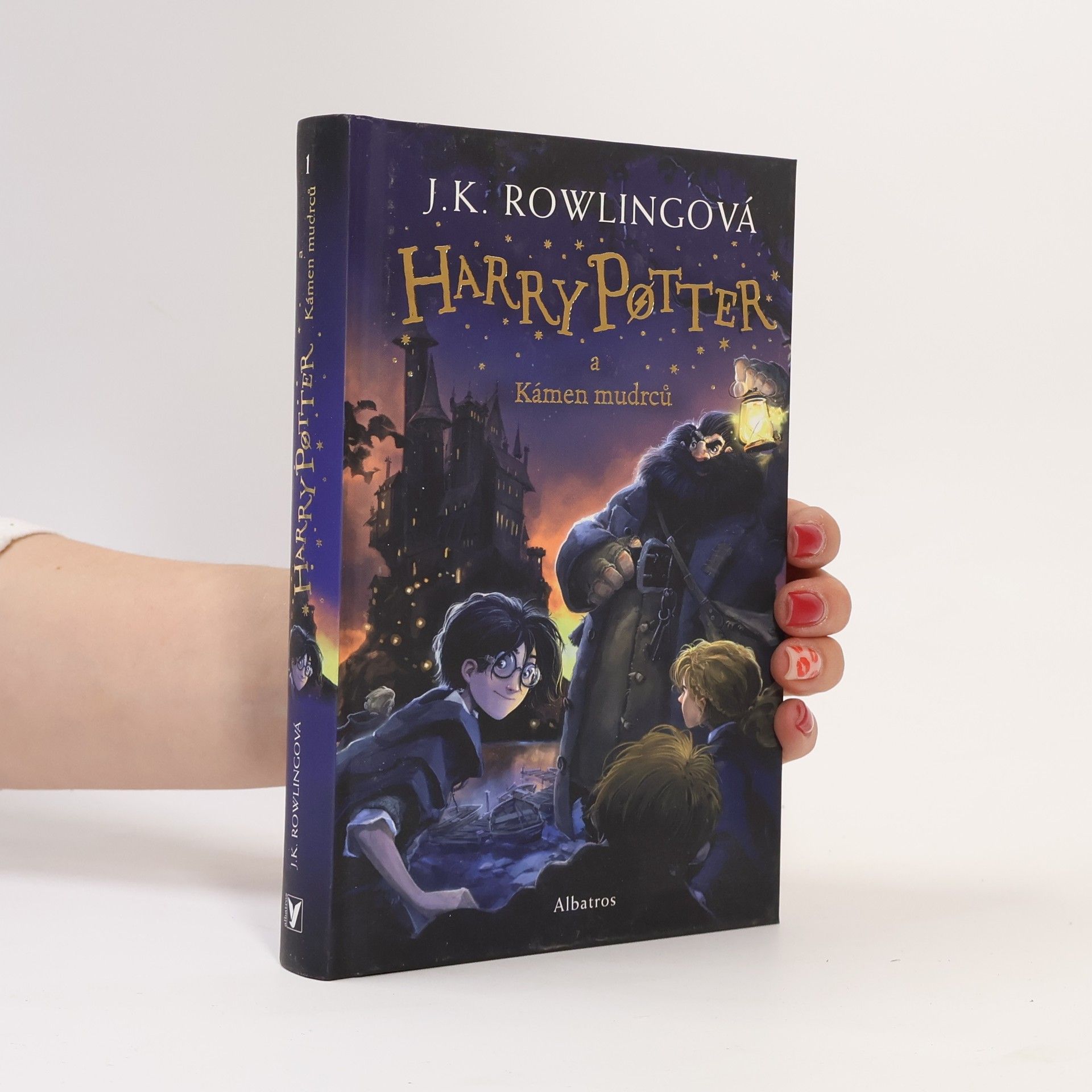 Harry Potter a kámen mudrců