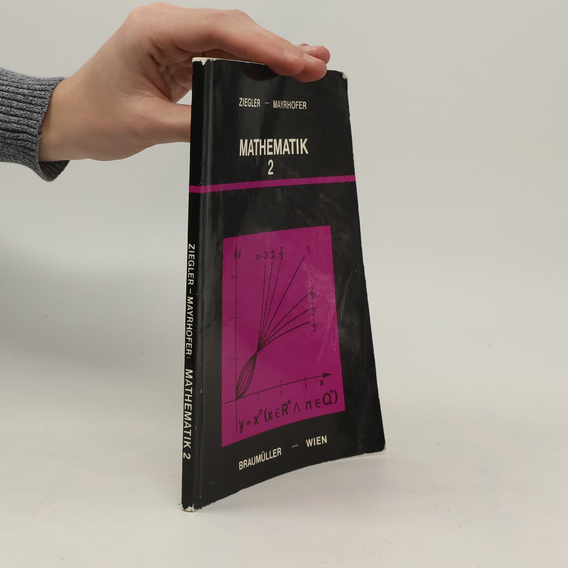 Hermann Ziegler Mathematik 2