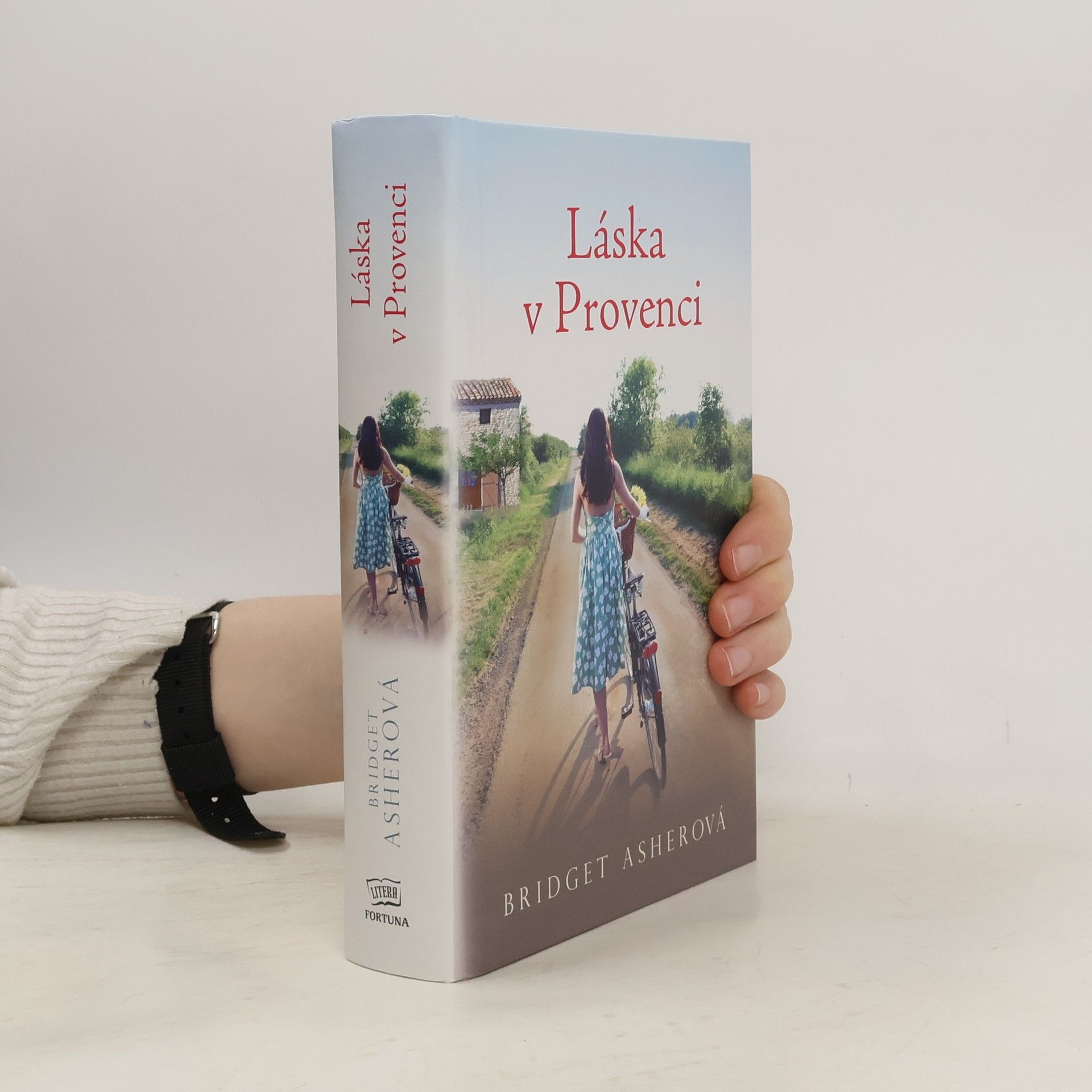 Bridget Asher Láska v Provenci