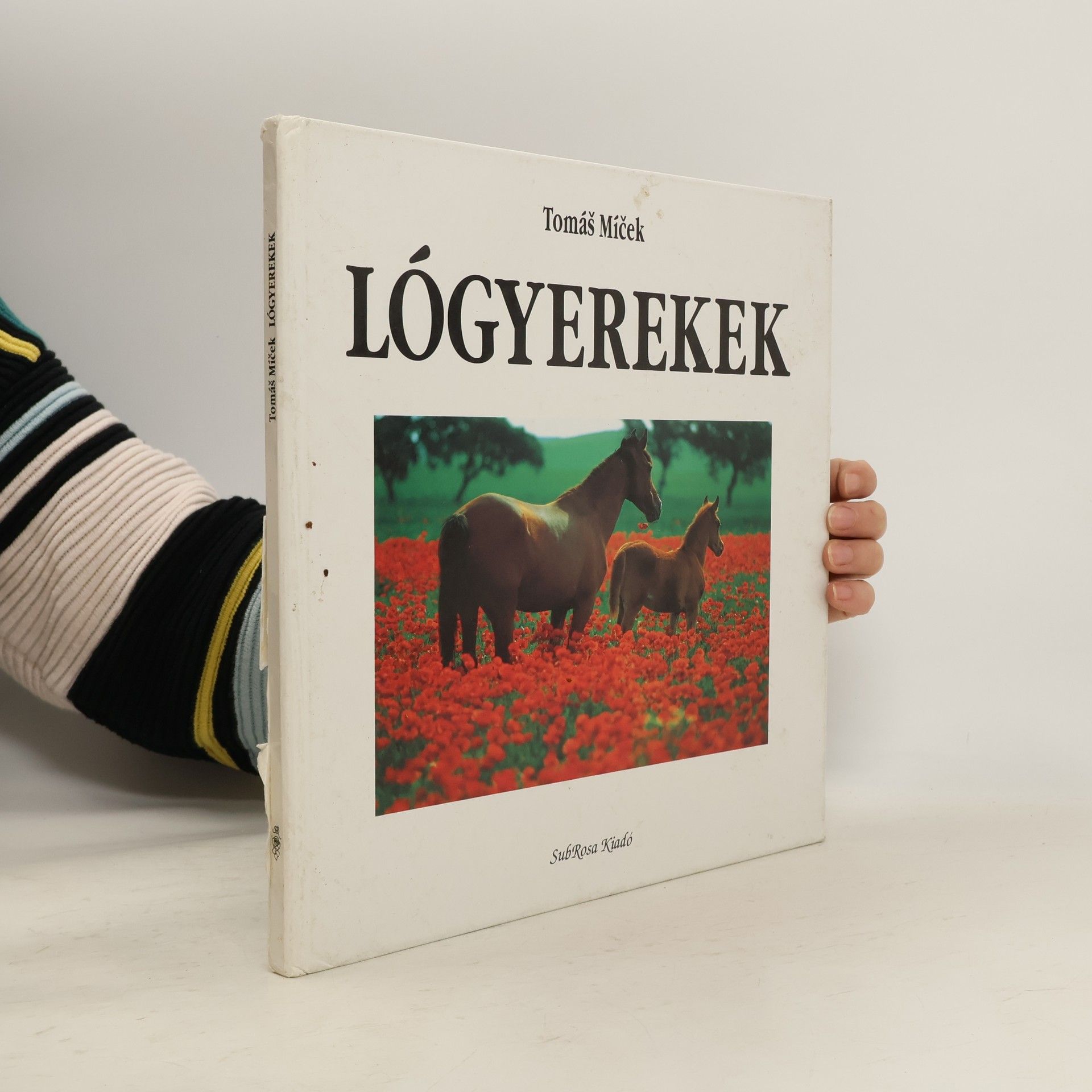 Tomáš Míček Lógyerekek