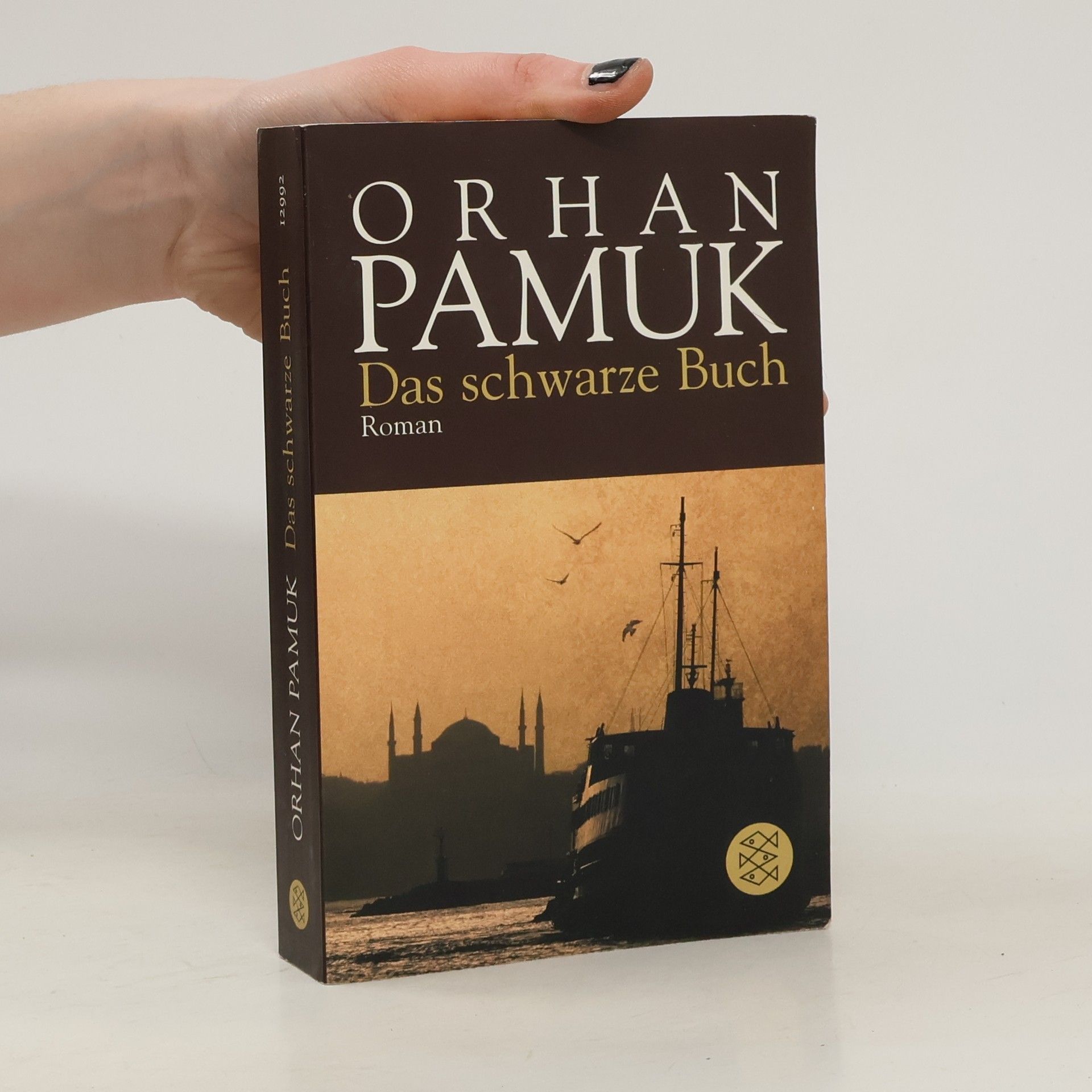 Orhan Pamuk Das schwarze Buch