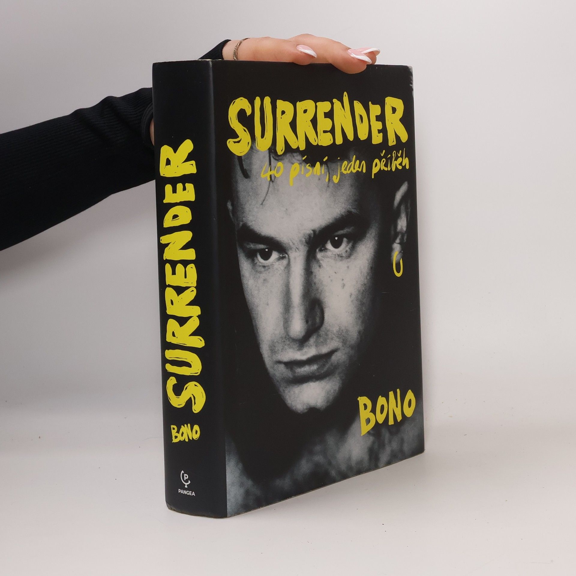 Bono Surrender : 40 písní, jeden příběh
