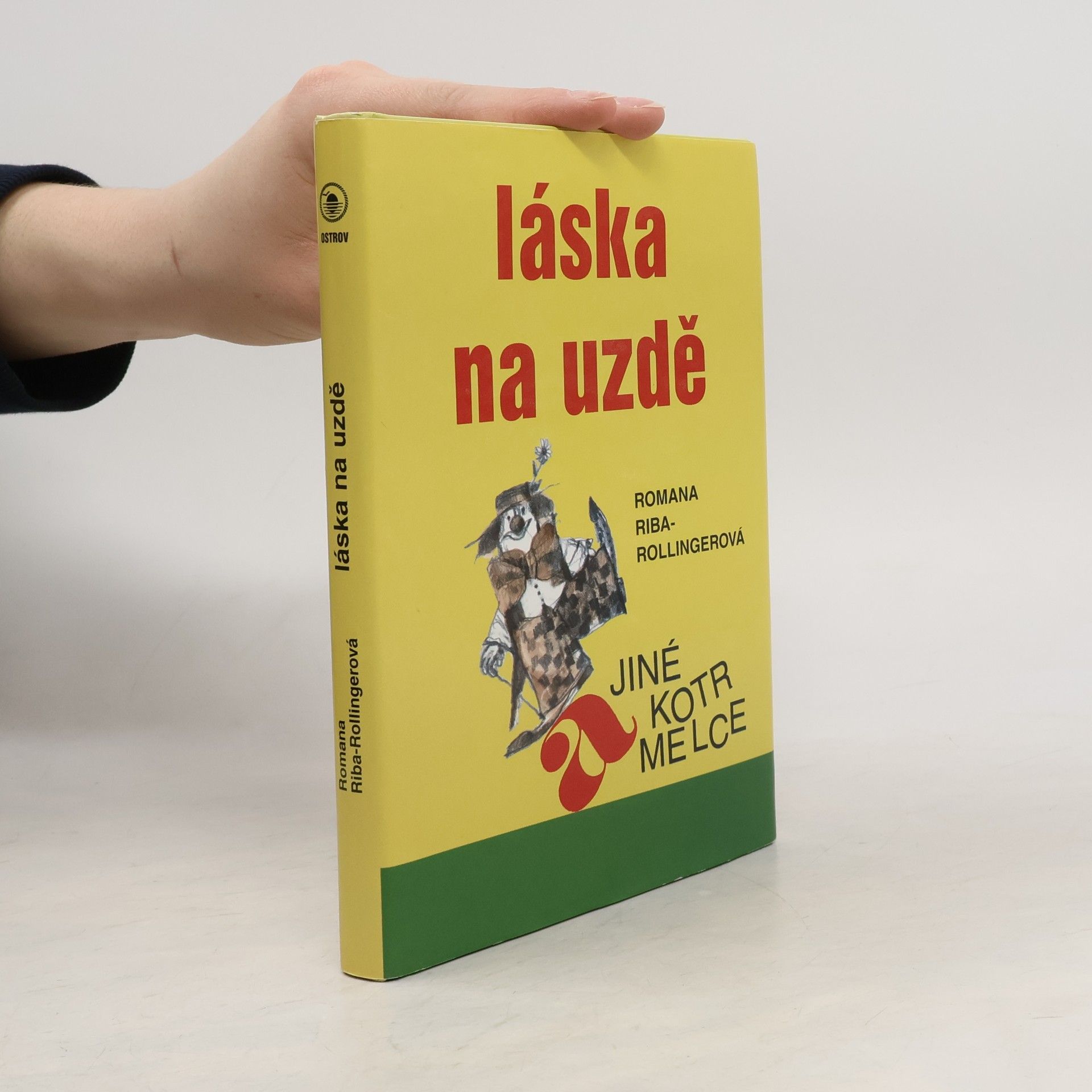 Romana Rollingerová-Riba Veškerá podobnost a jiné kotrmelce