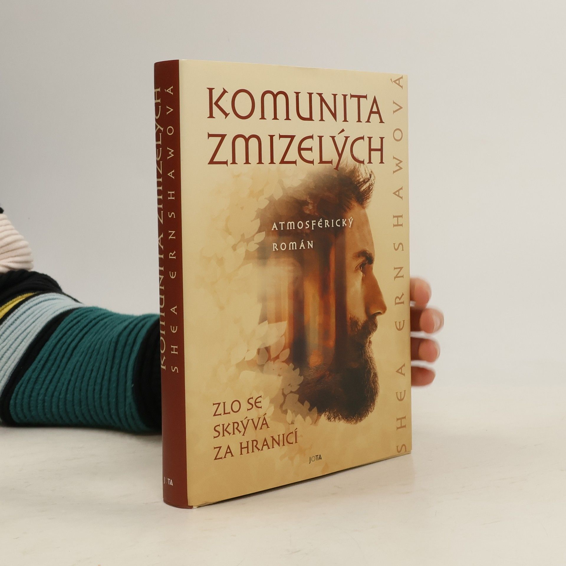 Shea Ernshaw Komunita zmizelých