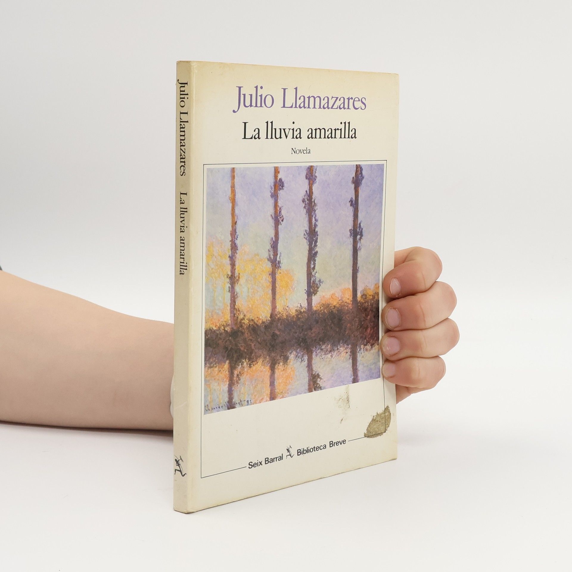 Julio Llamazares LA Lluvia Amarilla