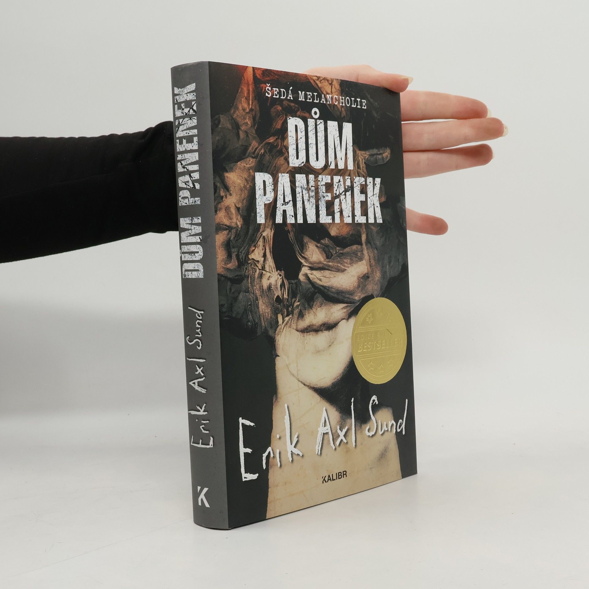 Erik Axl Sund Dům panenek