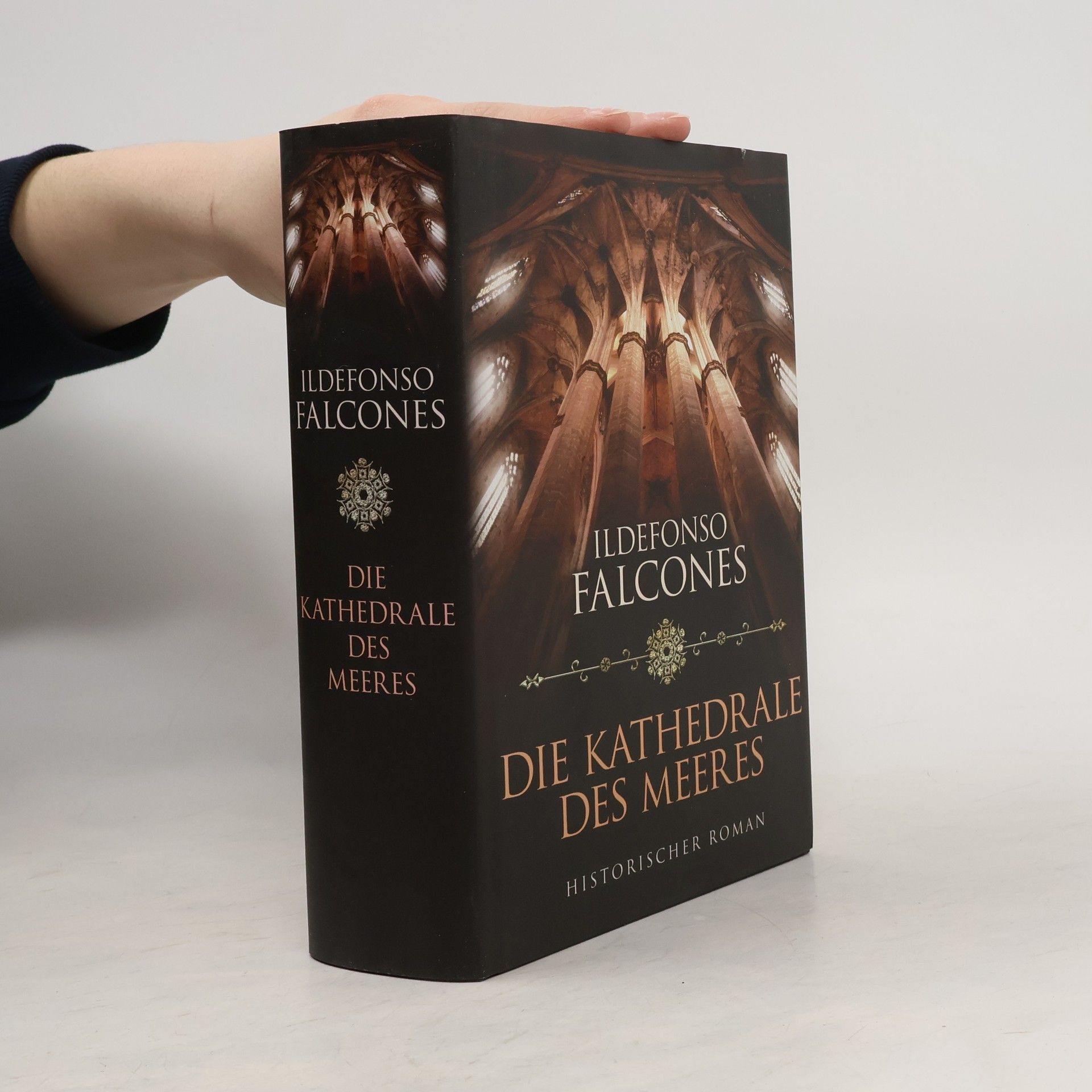 Ildefonso Falcones Die Kathedrale des Meeres