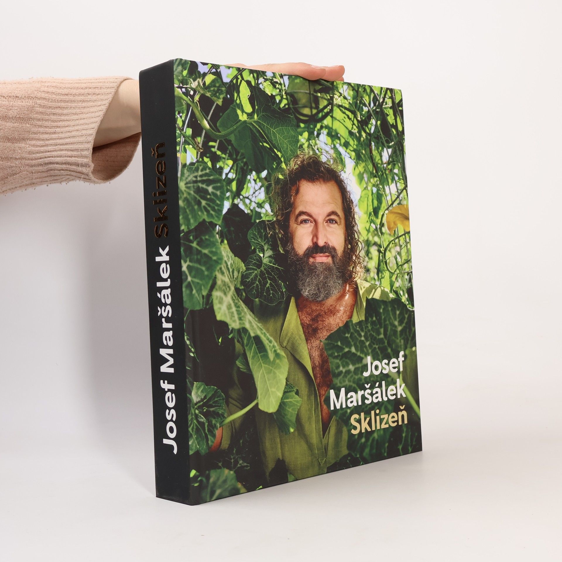 Josef Maršálek Sklizeň