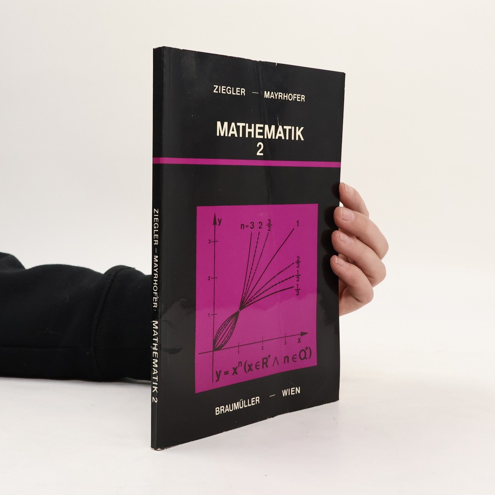 Hermann Ziegler Mathematik 2
