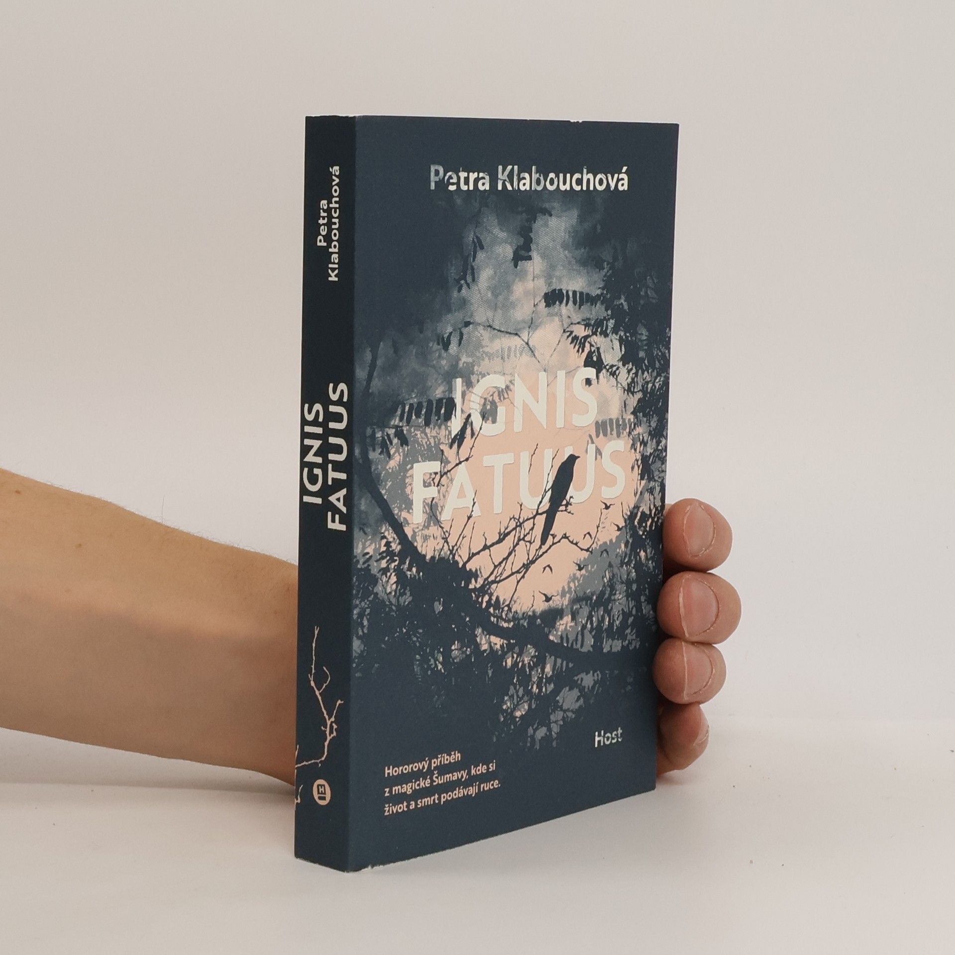 Petra Klabouchová Ignis fatuus