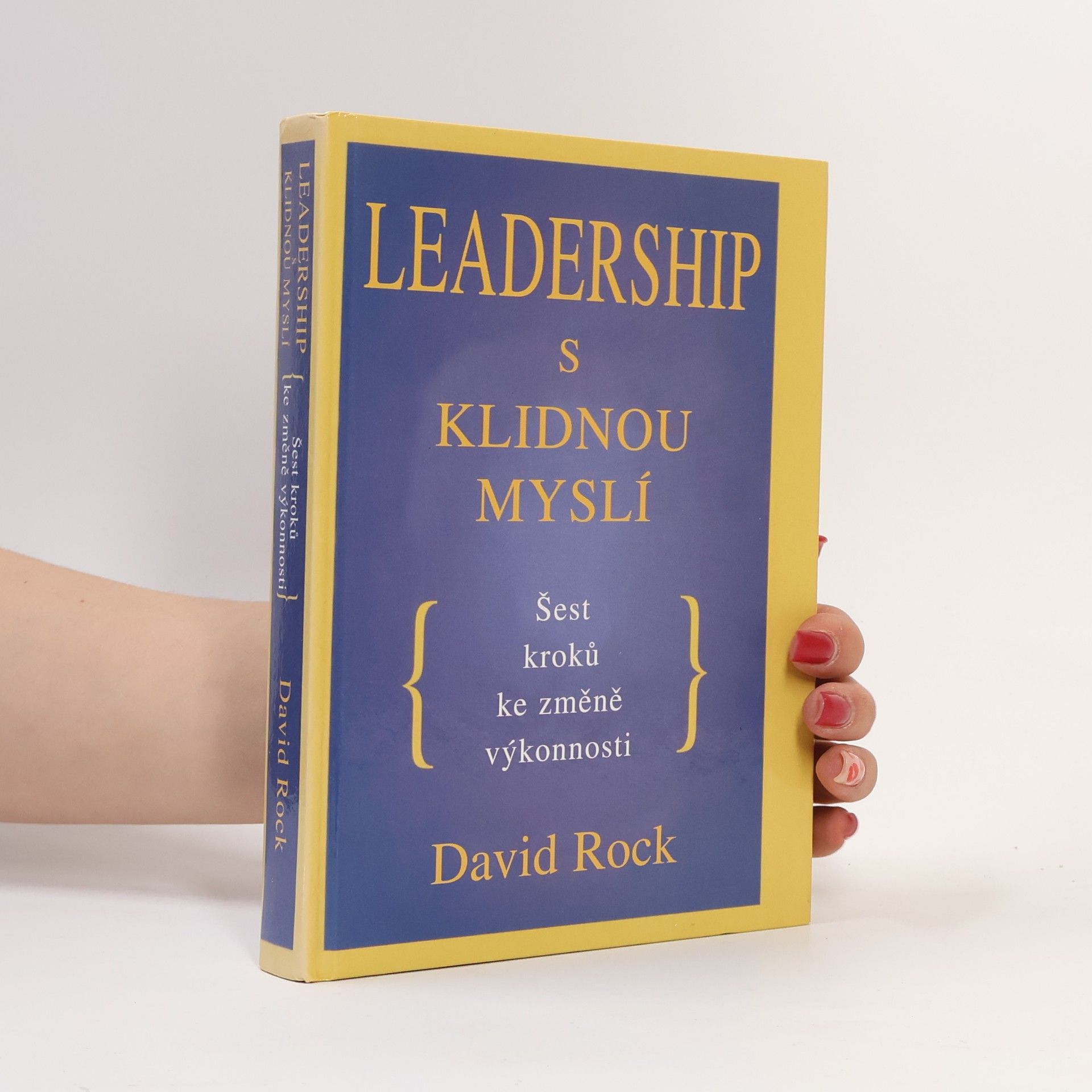 David Rock Leadership s klidnou myslí