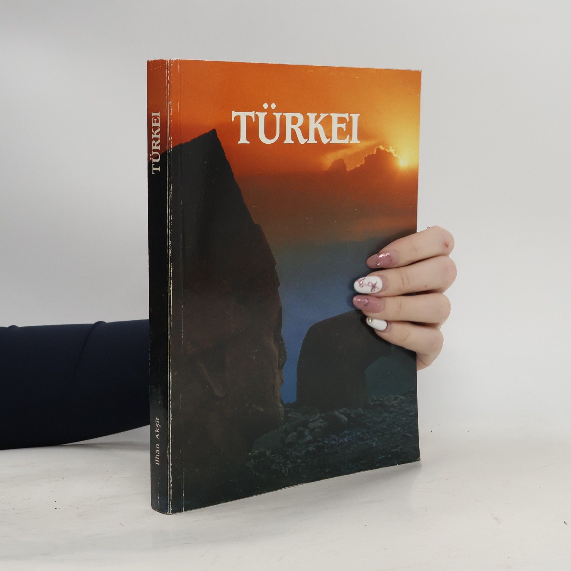 İlhan Akşit Türkei