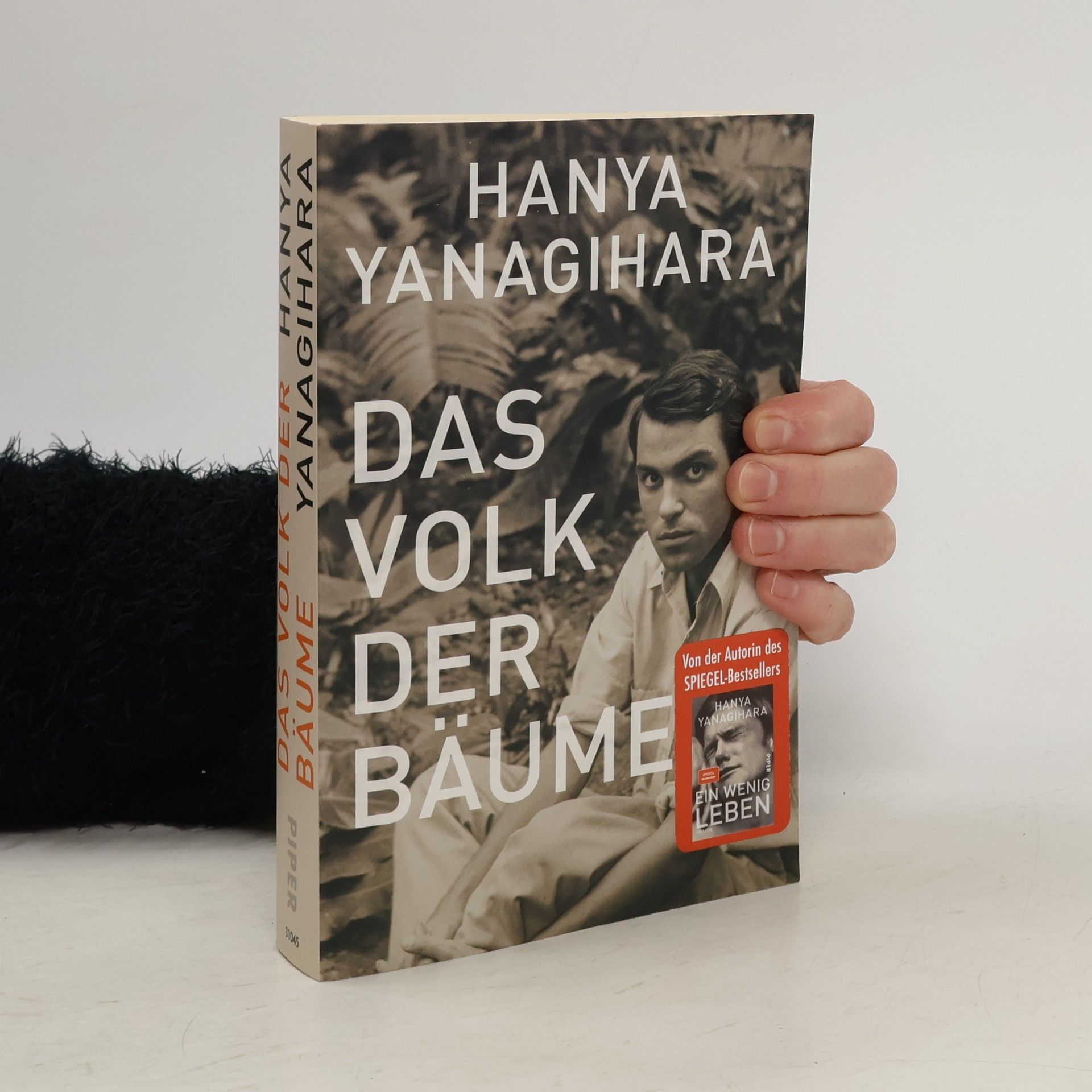 Hanya Yanagihara Das Volk der Bäume
