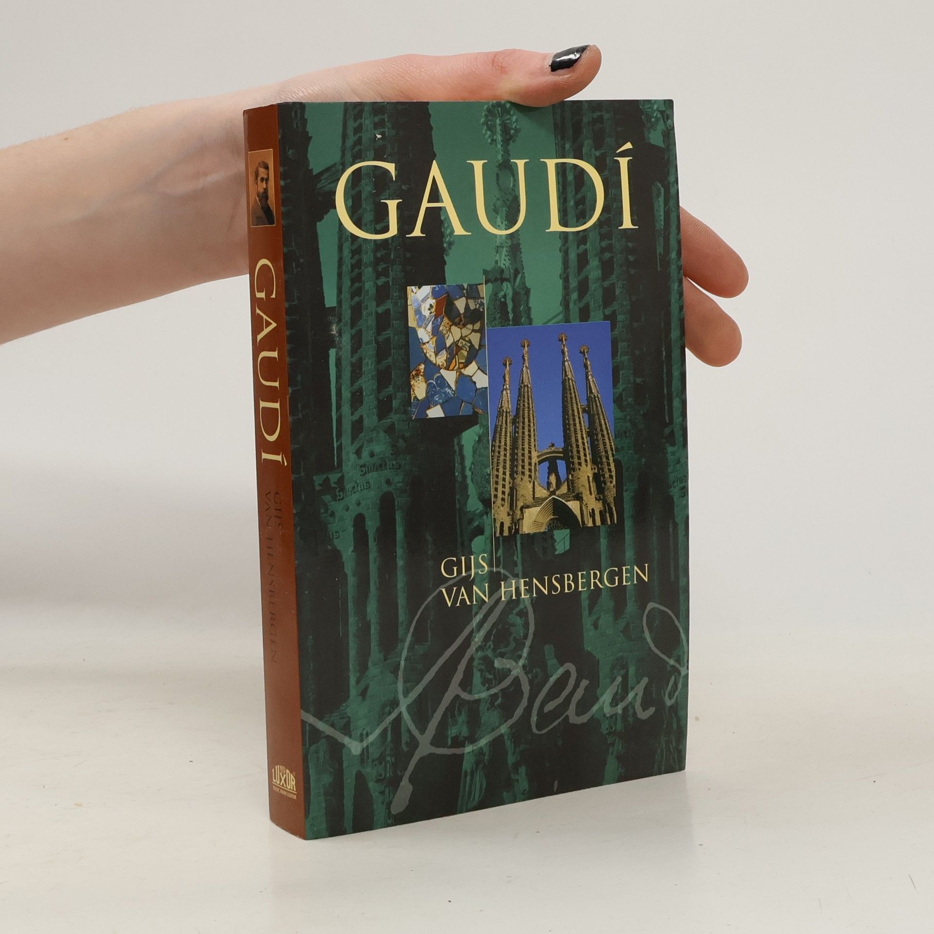 Gijs van Hensbergen Gaudí