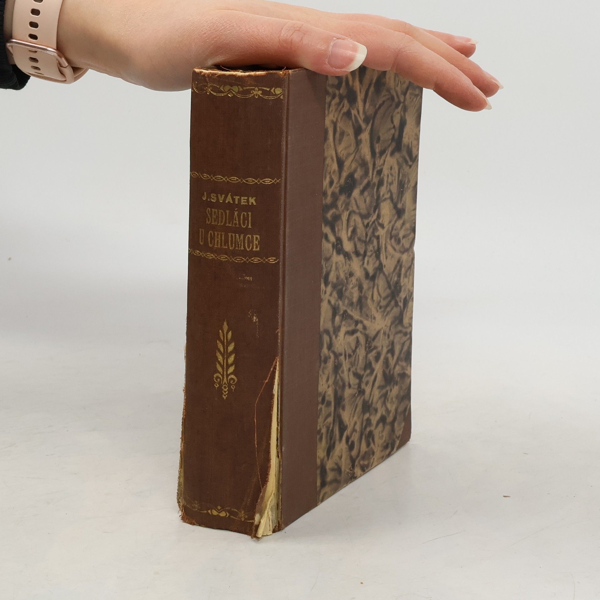 Josef Svátek Sedláci u Chlumce