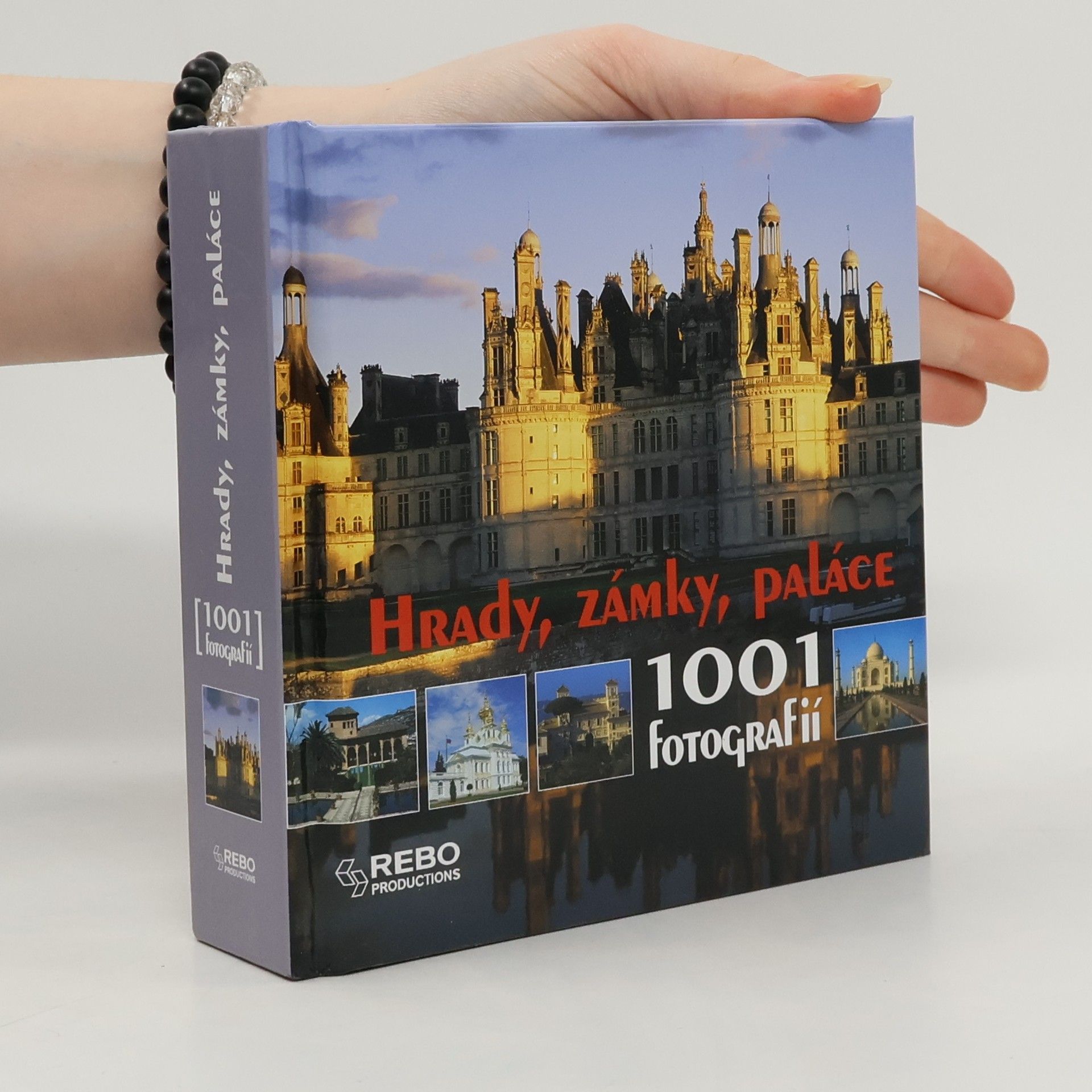 Françoise Bayle Hrady, zámky, paláce: 1001 fotografií