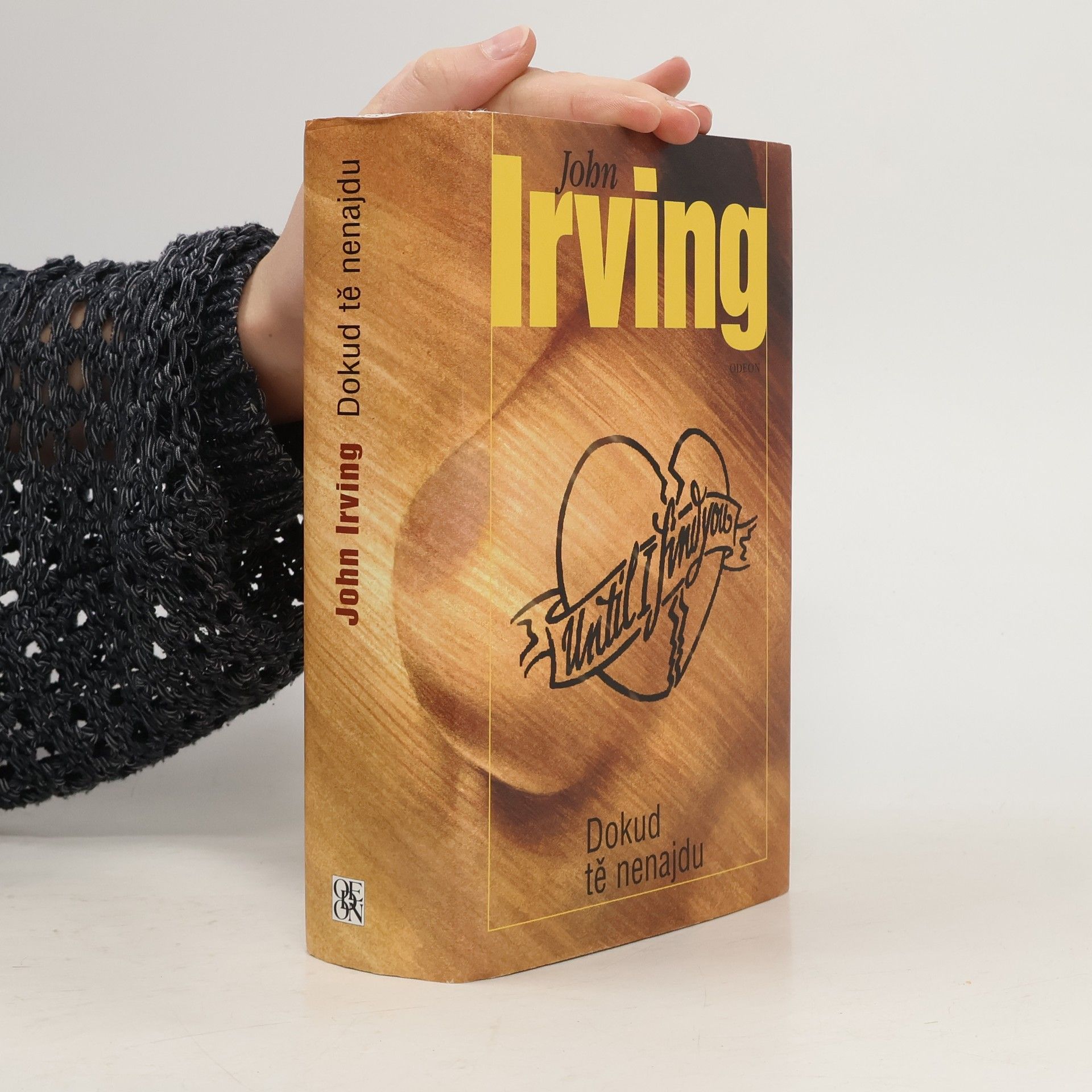 John Irving Dokud tě nenajdu