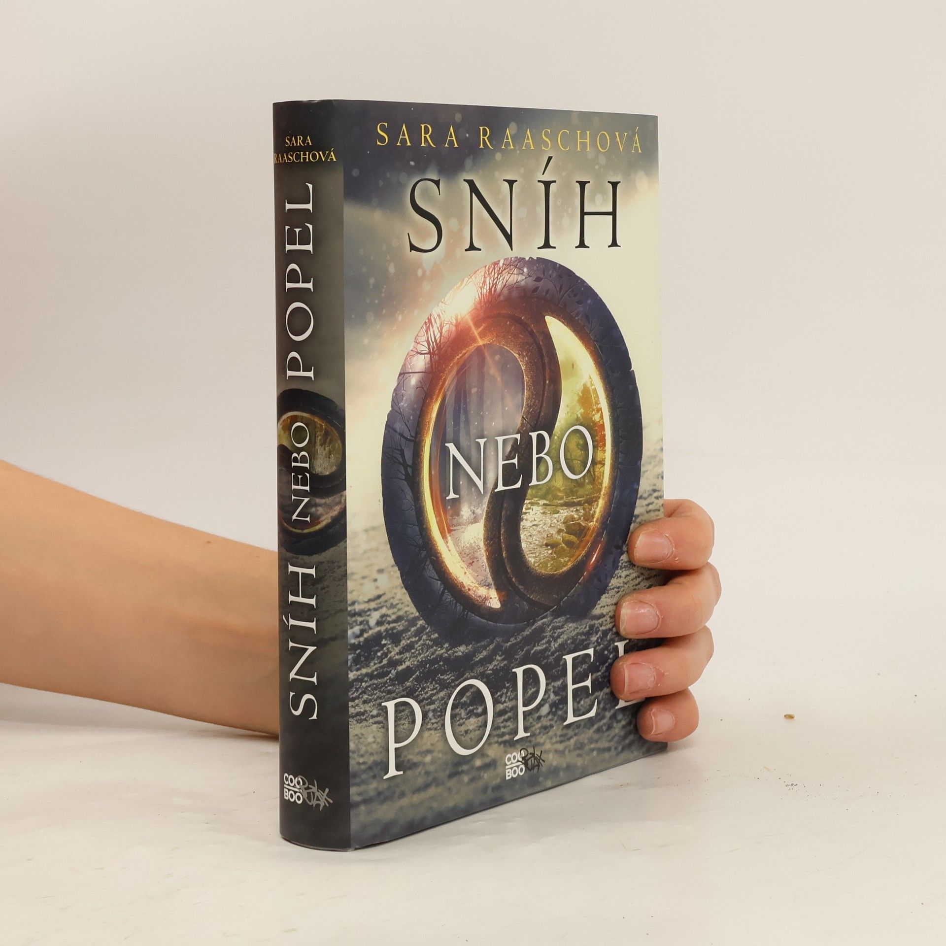 Sara Raasch Sníh nebo popel