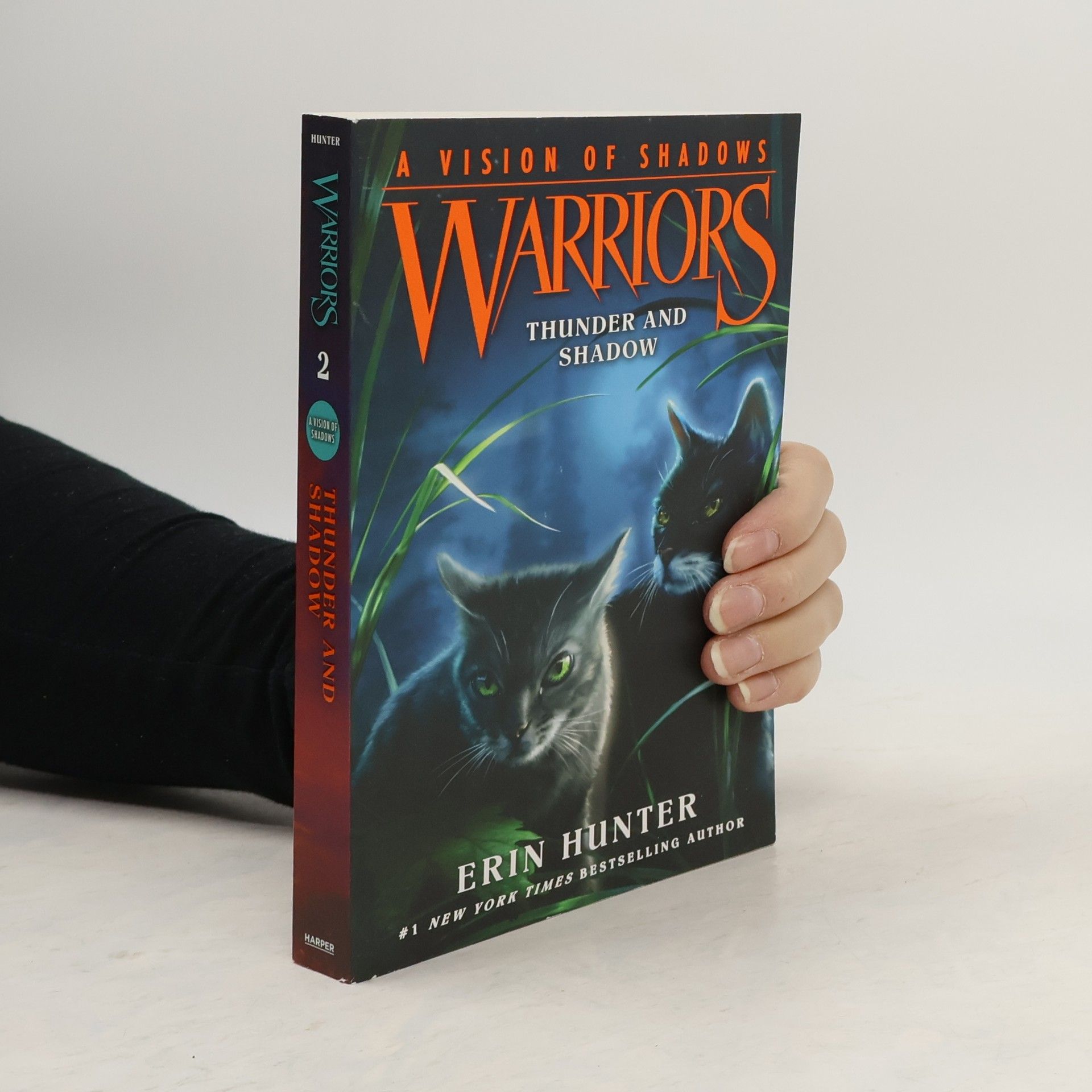 Erin Hunter Warriors 2. Thunder and Shadow