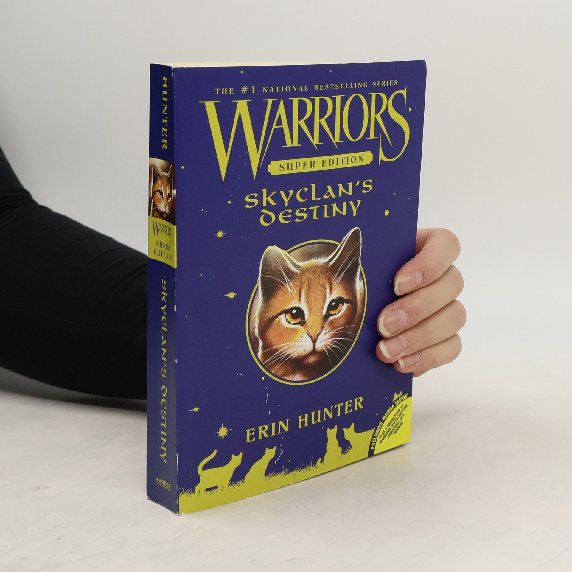 Erin Hunter Warriors, Super Edition, SkyClan's Destiny